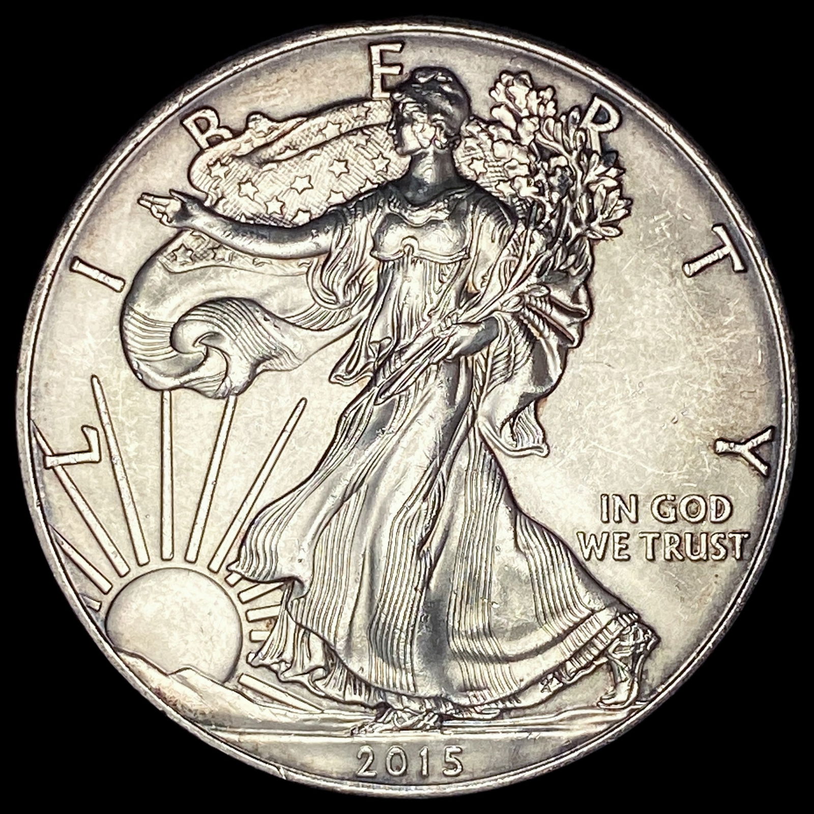 2015 1oz Silver American Eagle SUPERB GEM BU (1 of 2)