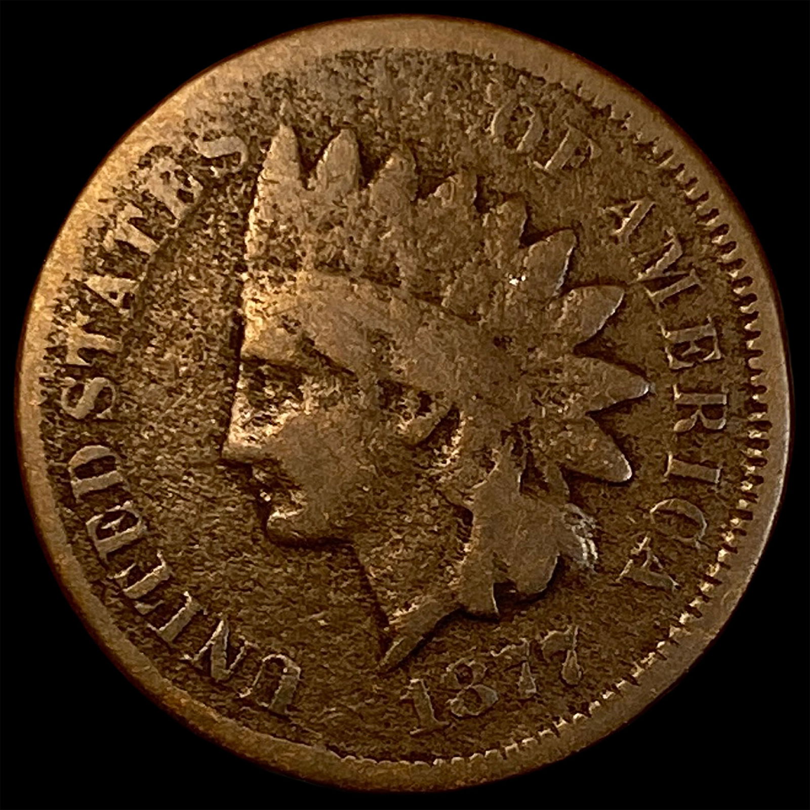 1877 Indian Head Cent NICELY CIRCULATED (1 of 2)