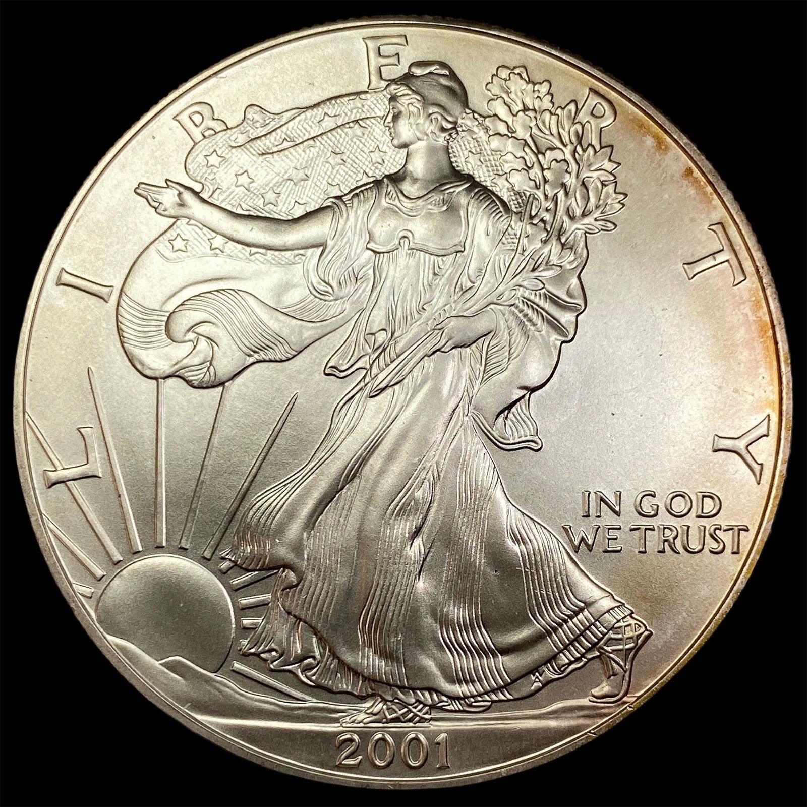 2001 1oz Silver American Eagle SUPERB GEM BU (1 of 2)