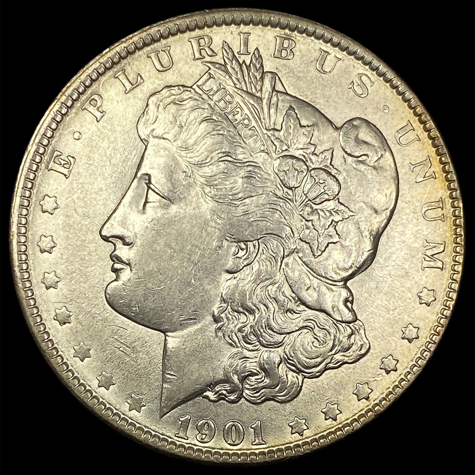 1901 Morgan Silver Dollar CLOSELY UNCIRCULATED (1 of 2)