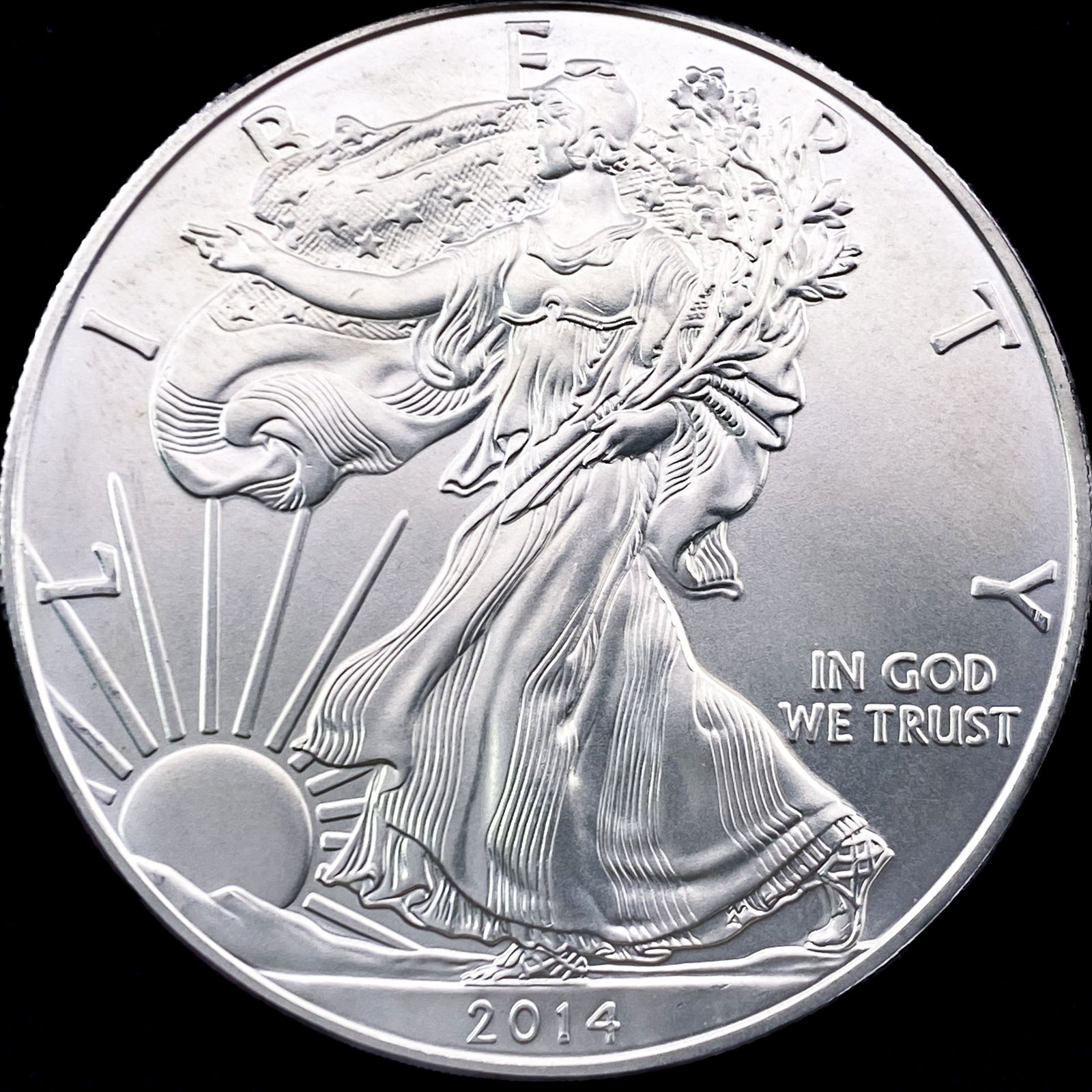 2014 1oz Silver American Eagle SUPERB GEM BU (1 of 2)