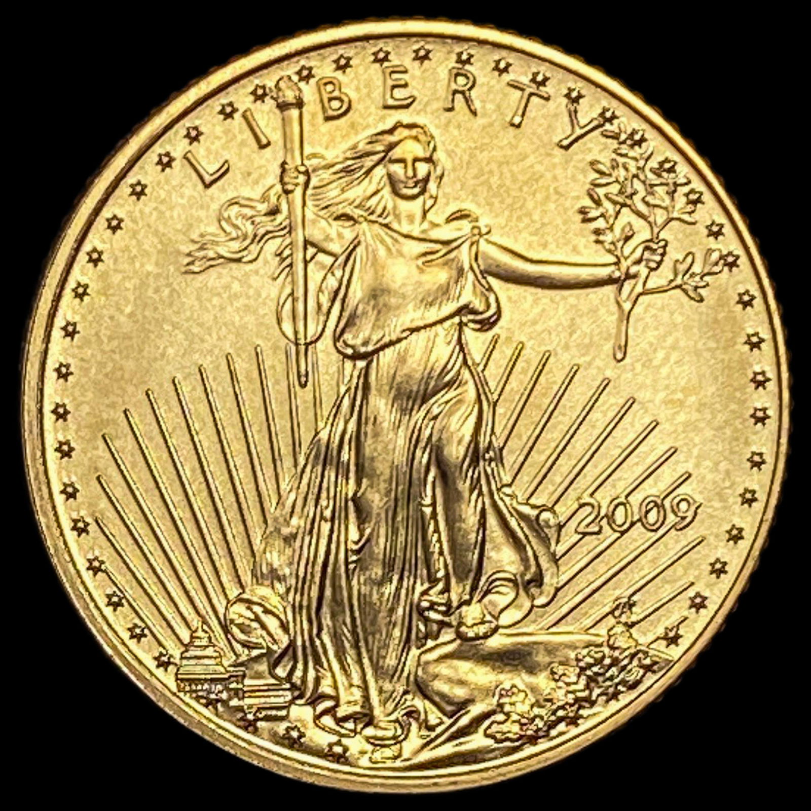 2009 1/10 oz Gold American Eagle $5 SUPERB GEM BU (1 of 2)