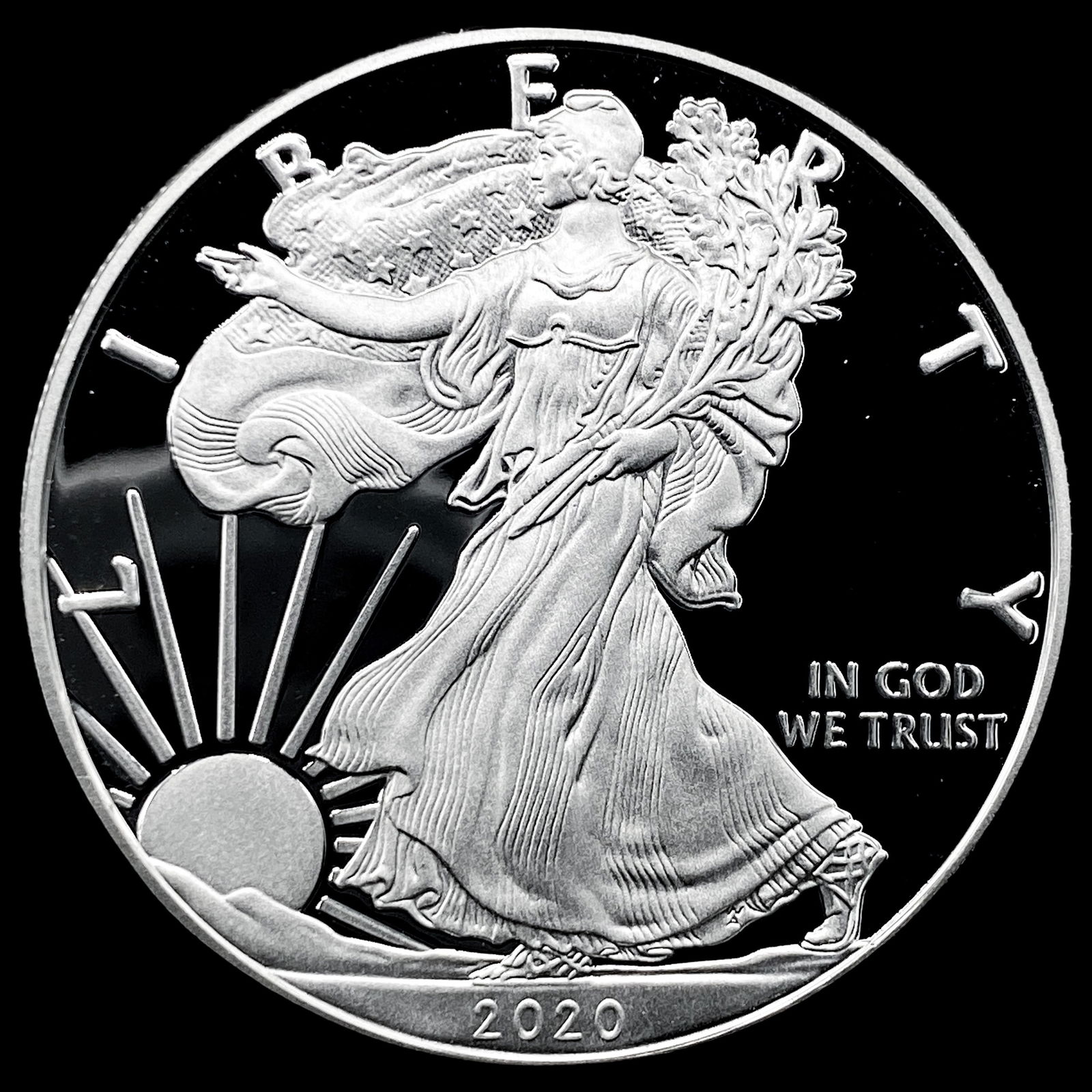 2020-S Silver American Eagle Proof GEM PROOF (1 of 2)