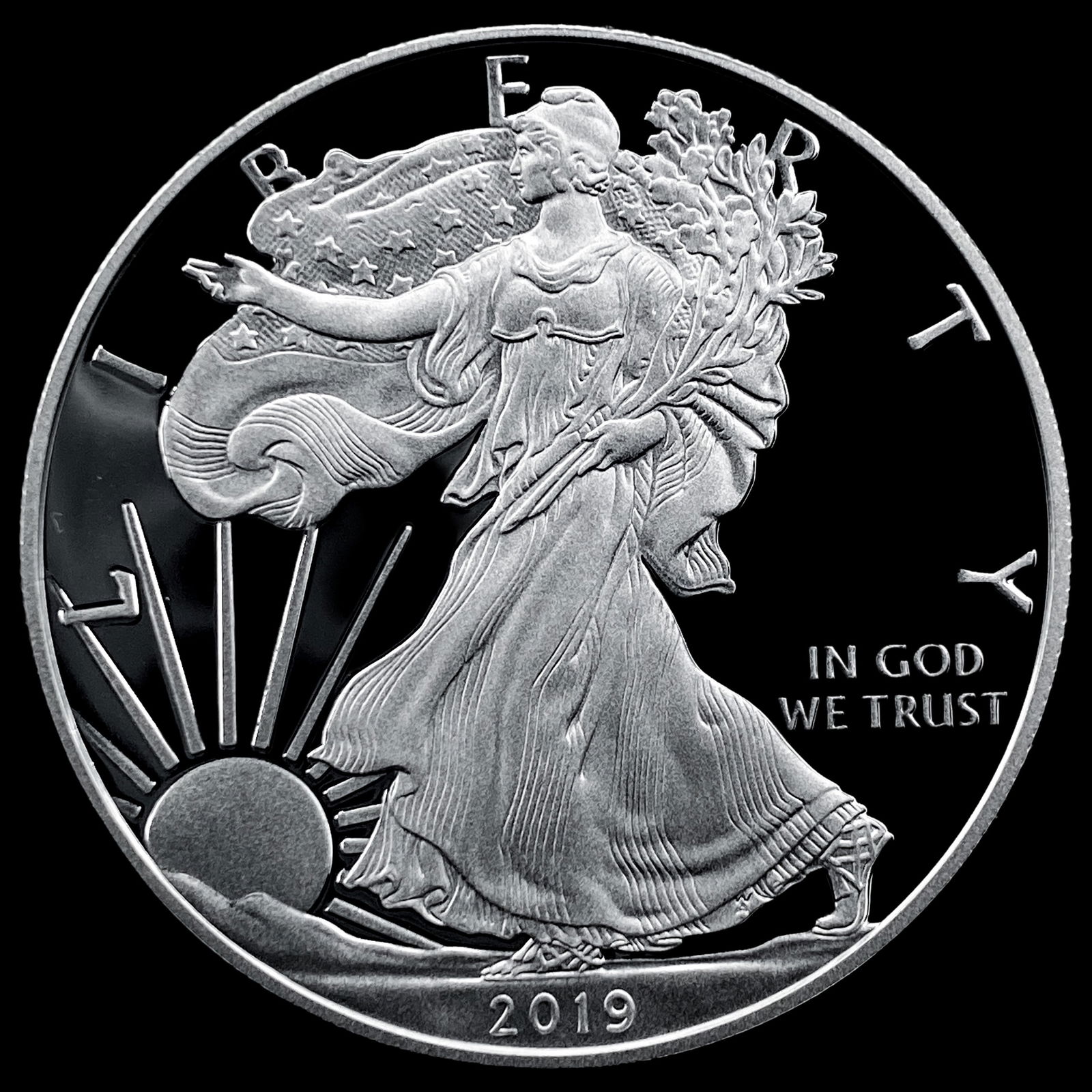 2019-W 1oz Silver American Eagle GEM PROOF (1 of 2)