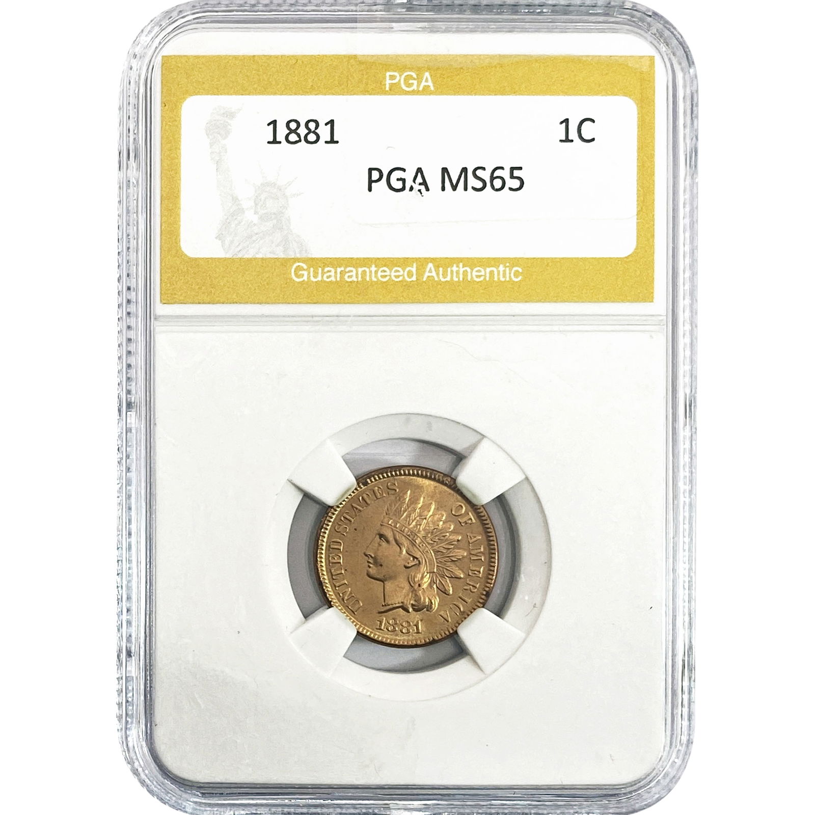 1881 Indian Head Cent PGA MS65: 1881 Indian Head Cent PGA MS65