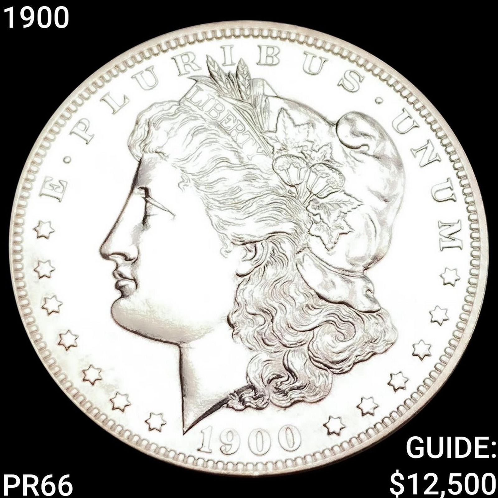 1900 Morgan Silver Dollar SUPERB GEM PROOF (1 of 2)