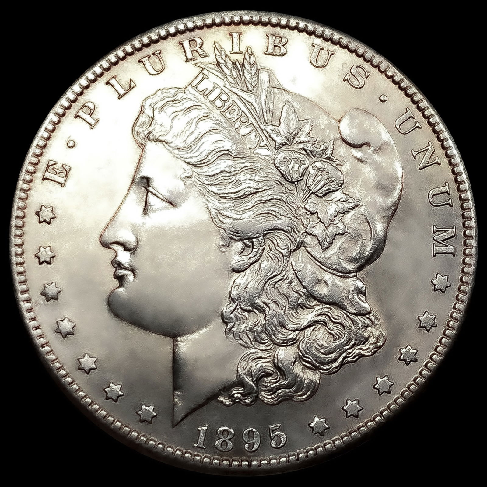 1895-S Morgan Silver Dollar (1 of 2)