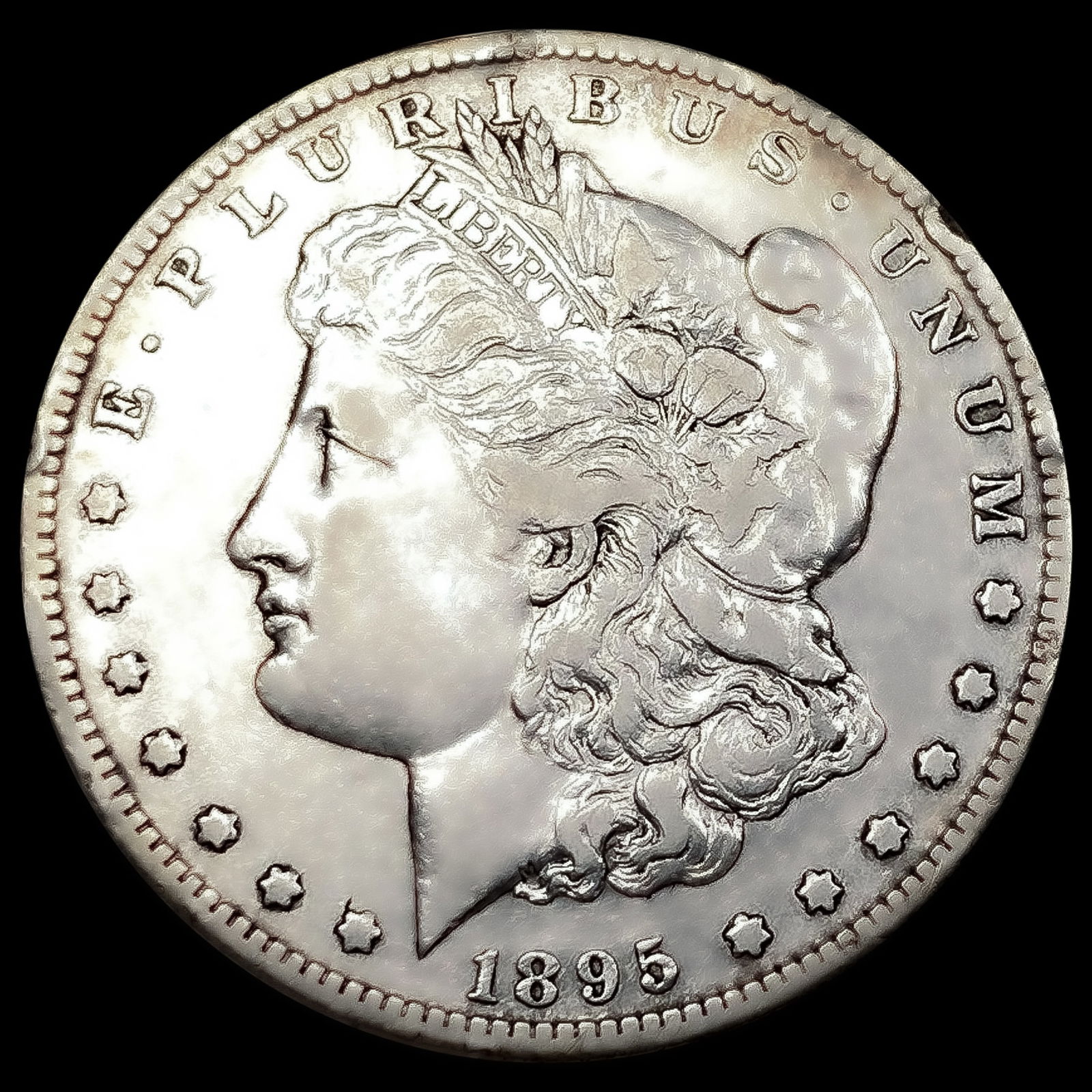 1895-S Morgan Silver Dollar (1 of 2)