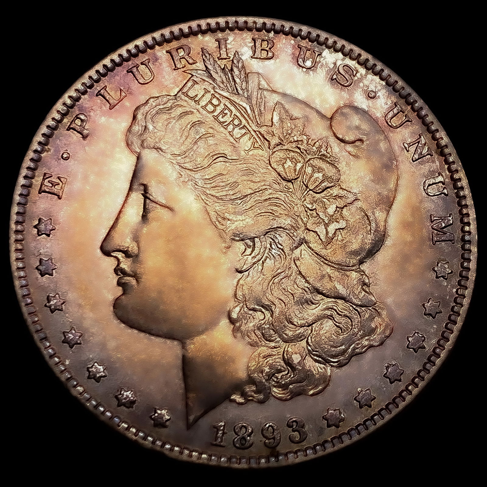 1893 Morgan Silver Dollar (1 of 2)