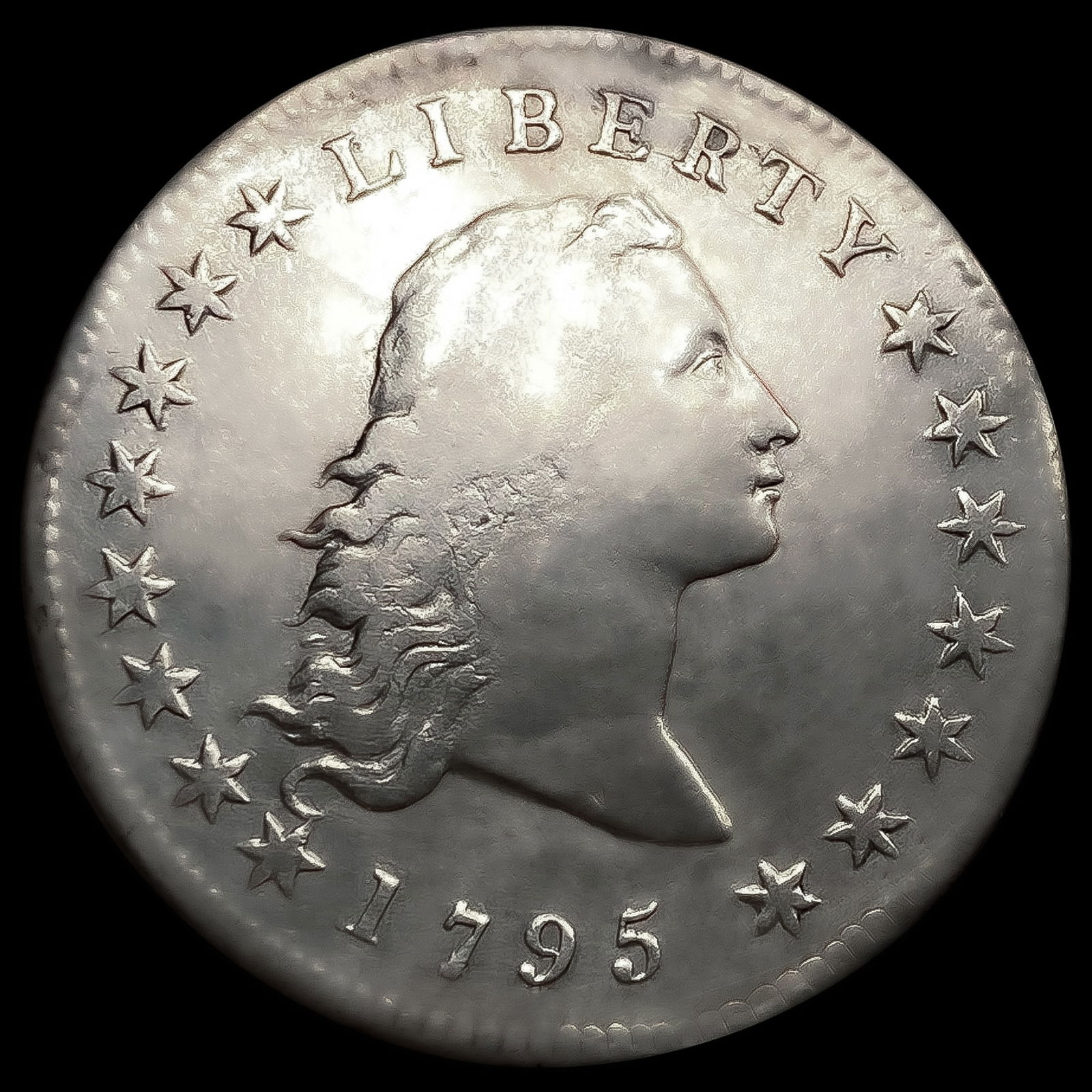 1795 2 Leaves Flowing Hair Dollar: 1795 2 Leaves Flowing Hair Dollar
