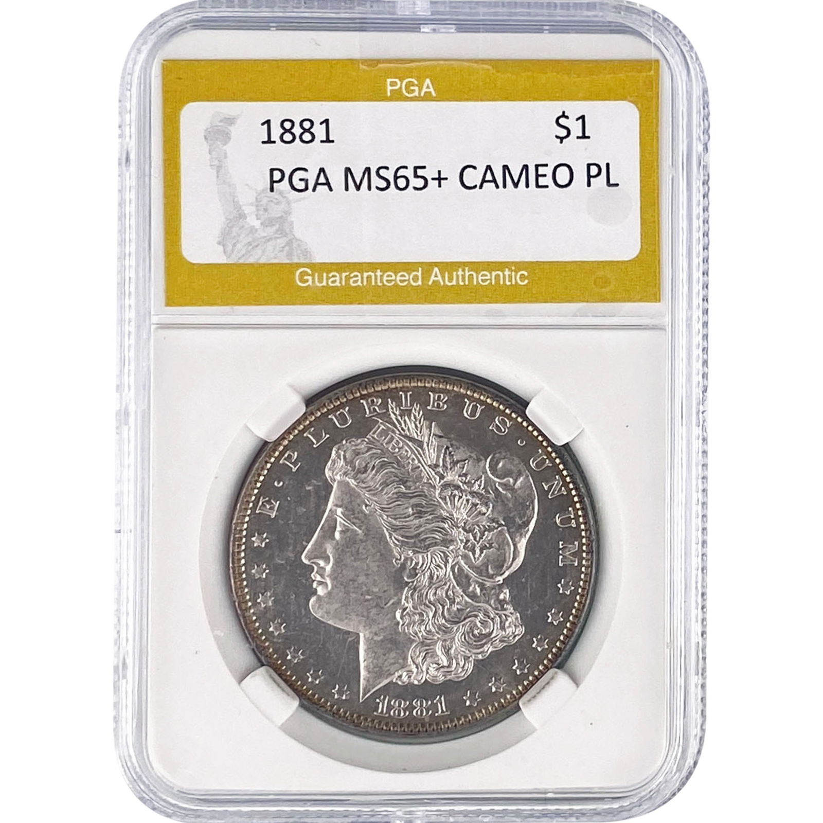1881 Morgan Silver Dollar PGA MS65+ CAMEO PL: 1881 Morgan Silver Dollar PGA MS65+ CAMEO PL