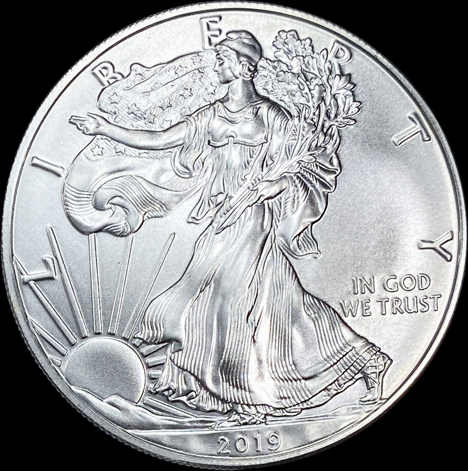 2019 1 oz Silver American Eagle $1 GEM BU (1 of 2)