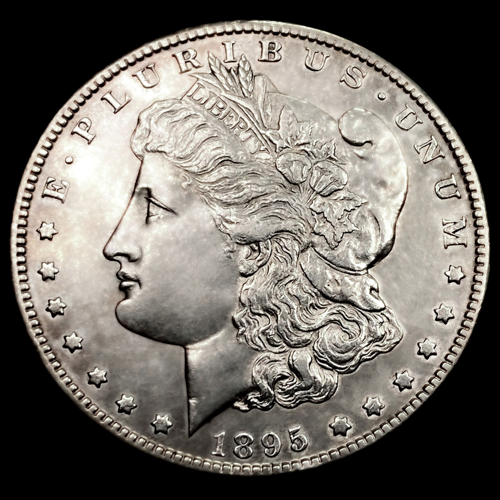 1895-S Morgan Silver Dollar (1 of 2)
