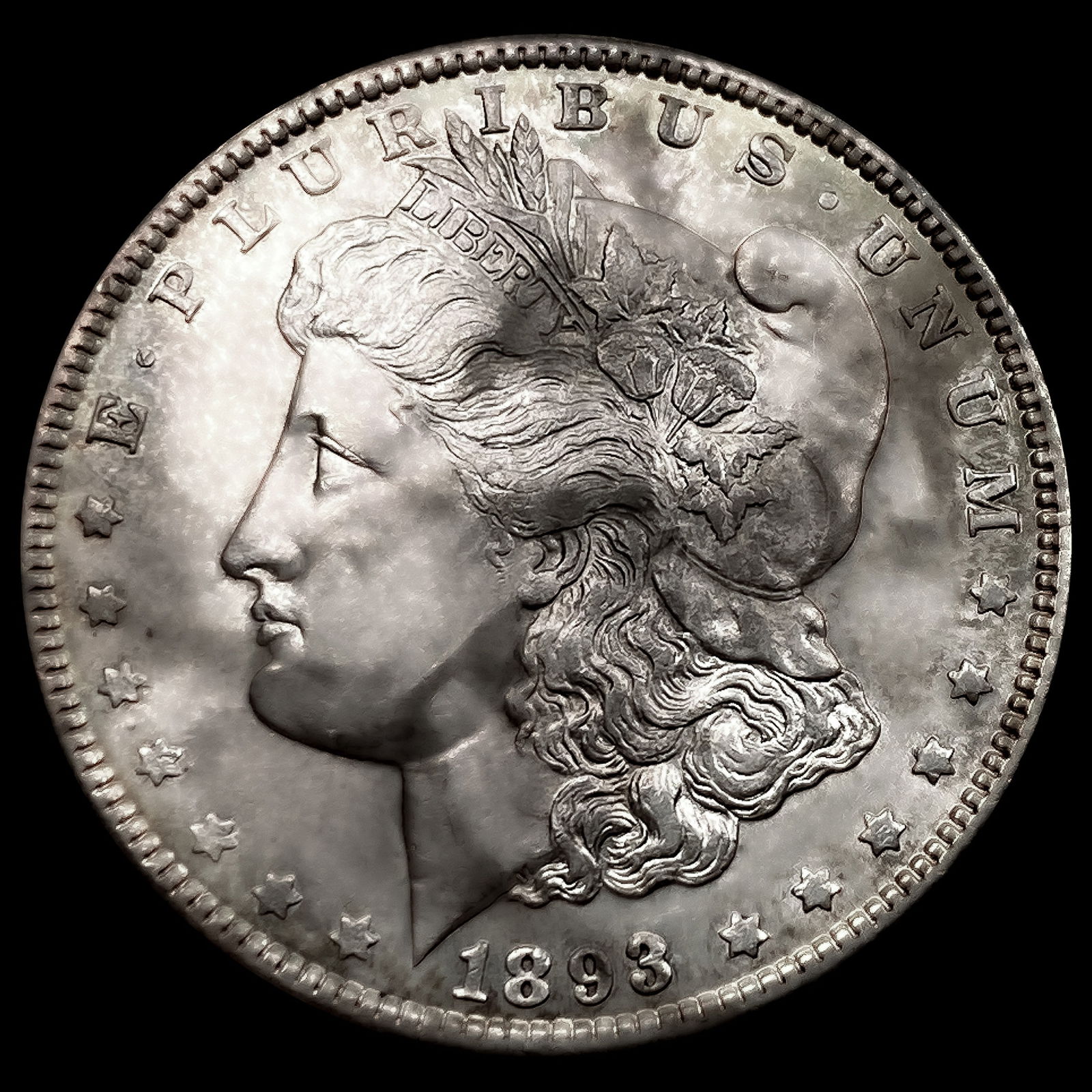 1893 Morgan Silver Dollar (1 of 2)