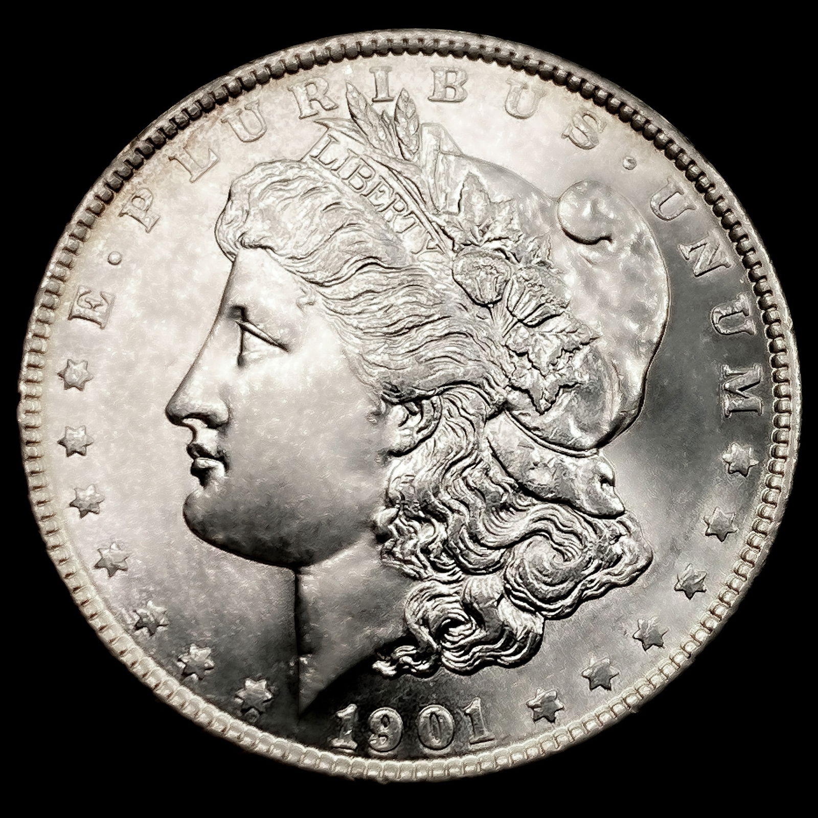 1901 Morgan Silver Dollar (1 of 2)