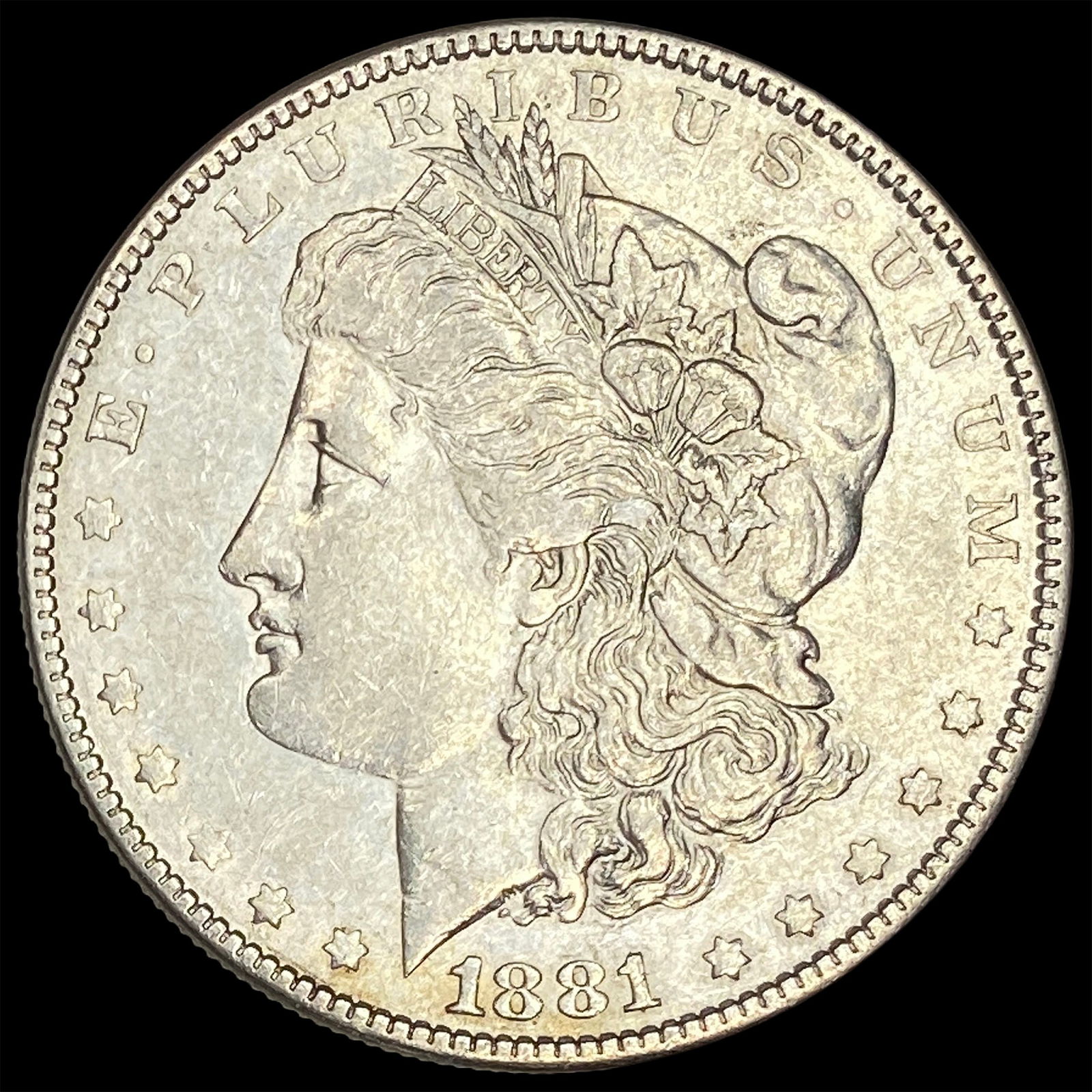1881 Morgan Silver Dollar CLOSELY UNCIRCULATED (1 of 2)