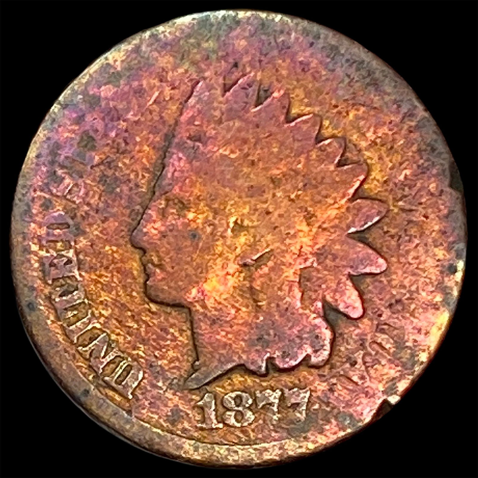 1877 Indian Head Cent HIGH GRADE (1 of 2)