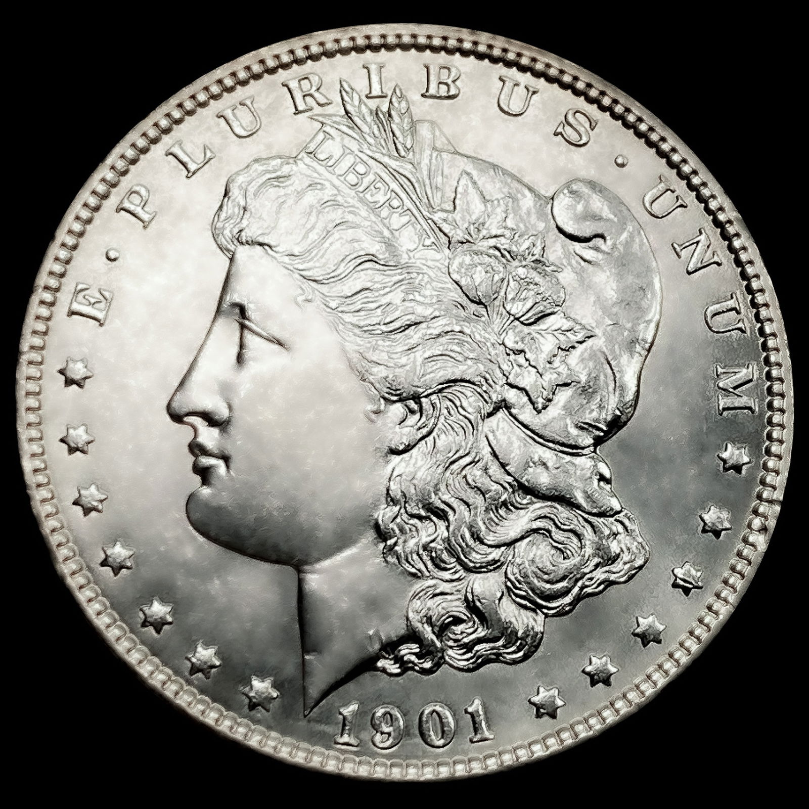 1901 Morgan Silver Dollar (1 of 2)