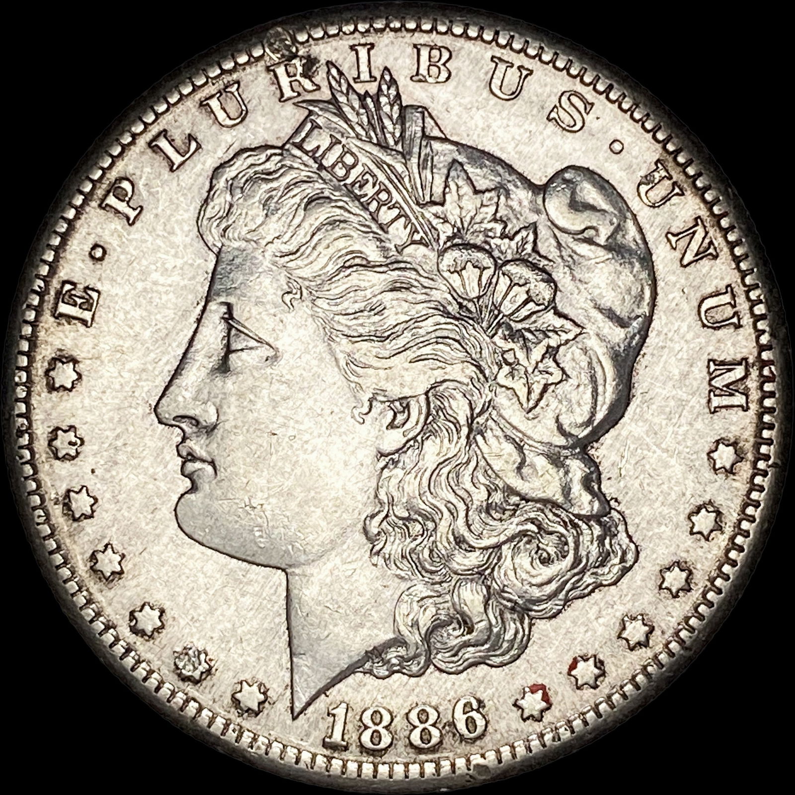 1886-S Silver Morgan Dollar CLOSELY UNCIRCULATED (1 of 2)