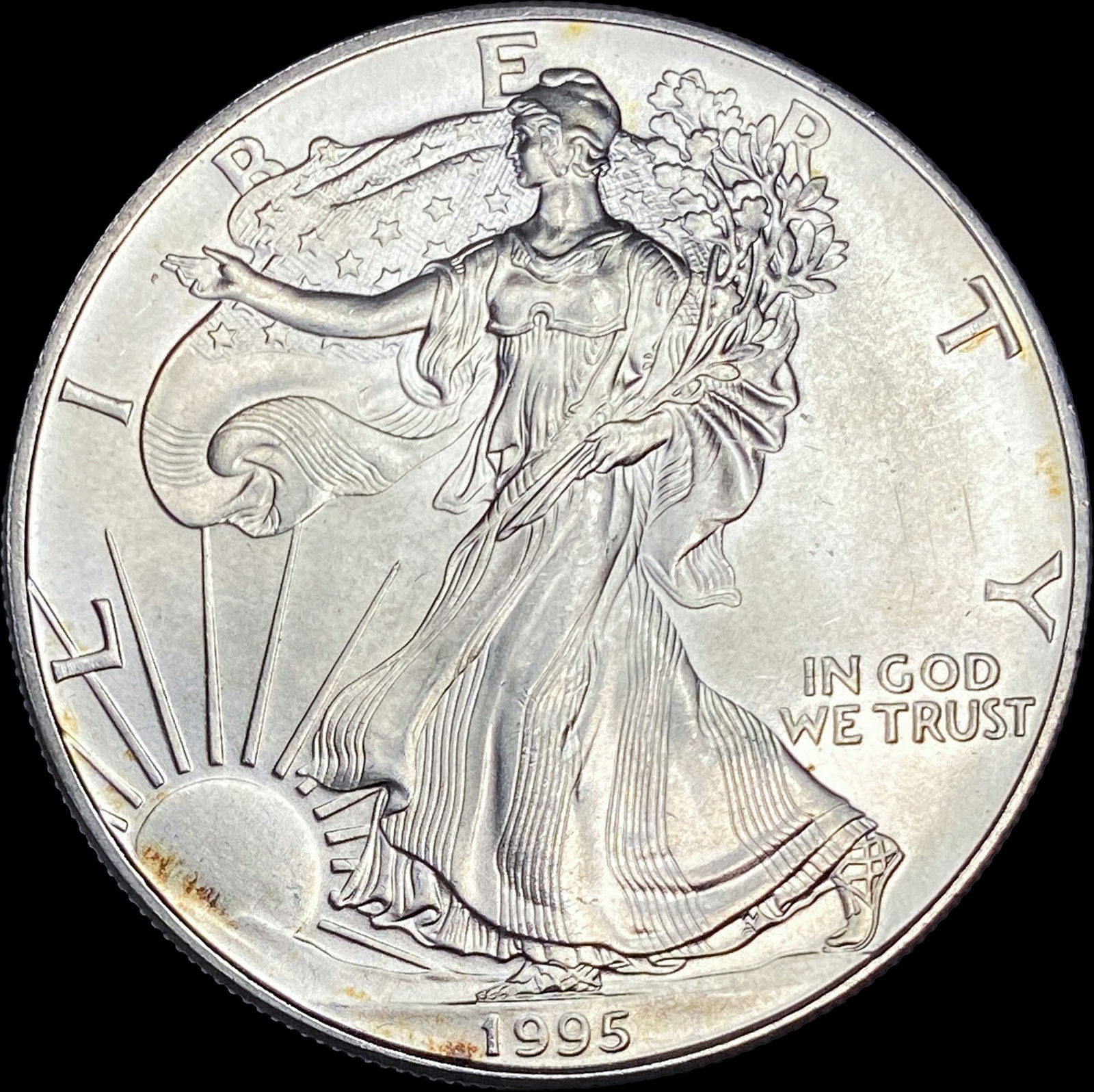 1995 Silver American Eagle $1 SUPERB GEM BU (1 of 2)