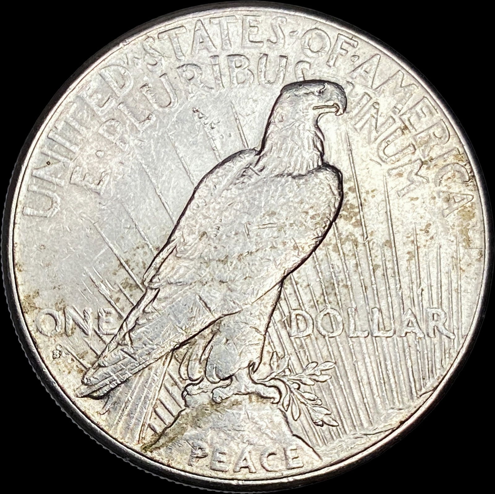 1928 Silver Peace Dollar CLOSELY UNCIRCULATED - 2