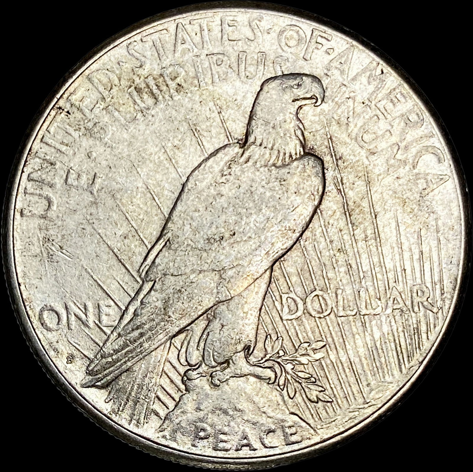 1925 Peace Silver Dollar CLOSELY UNCIRCULATED - 2