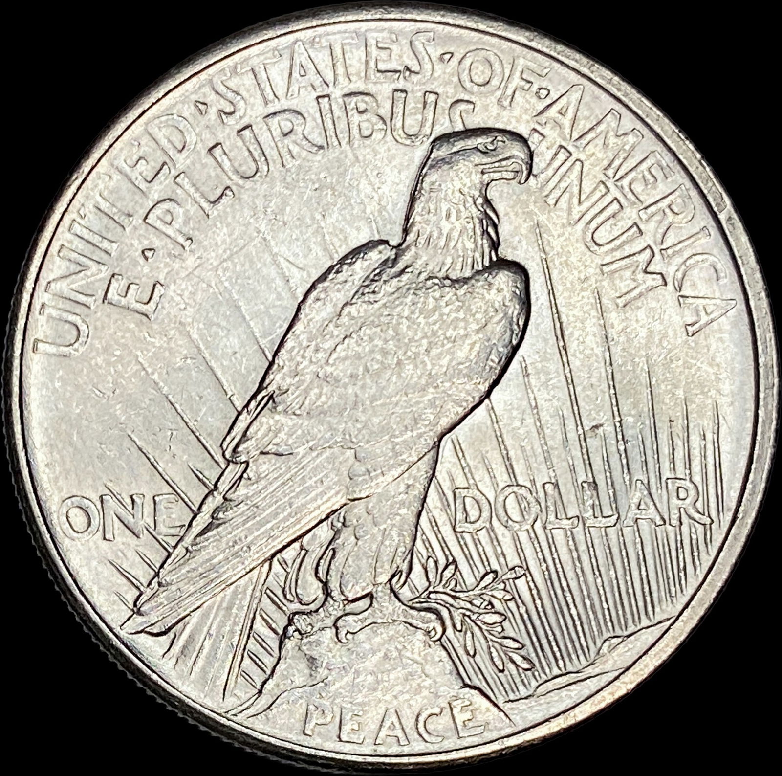 1921 Silver Peace Dollar CLOSELY UNCIRCULATED - 2