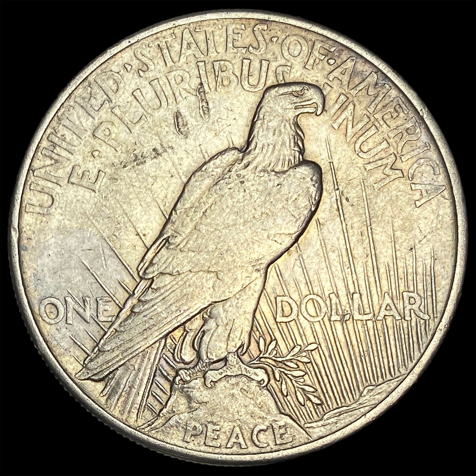 1921 Silver Peace Dollar NEARLY UNCIRCULATED - 2