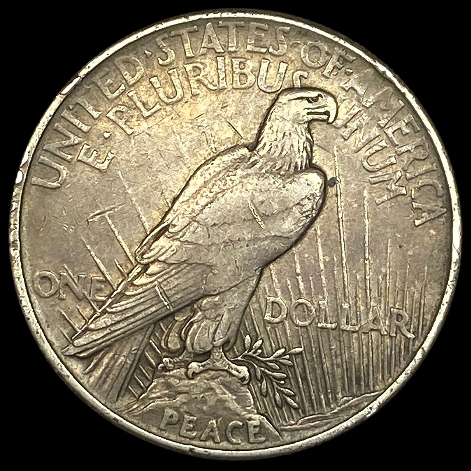 1921 Silver Peace Dollar NEARLY UNCIRCULATED - 2