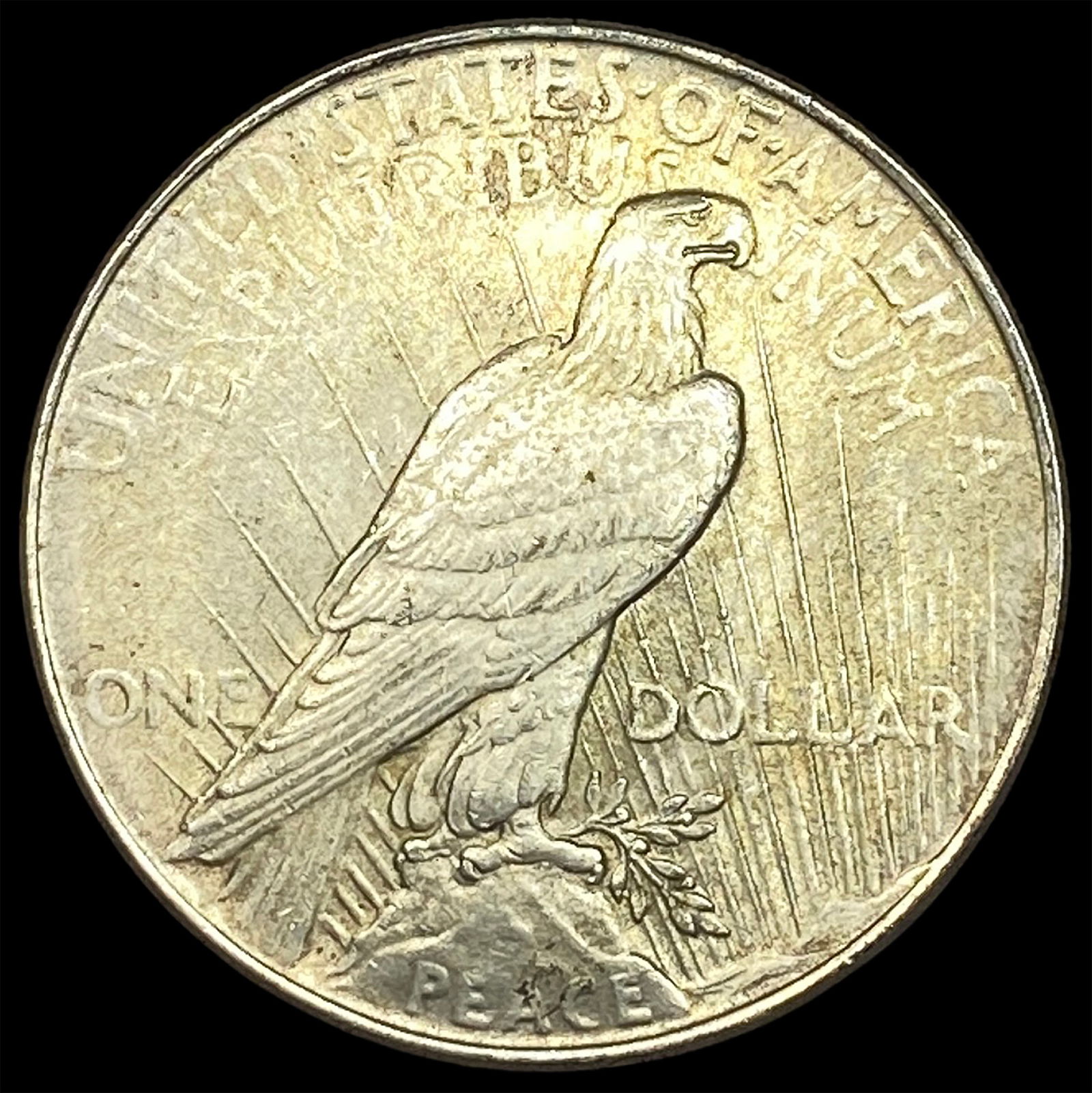 1924 Silver Peace Dollar CHOICE BU - 2