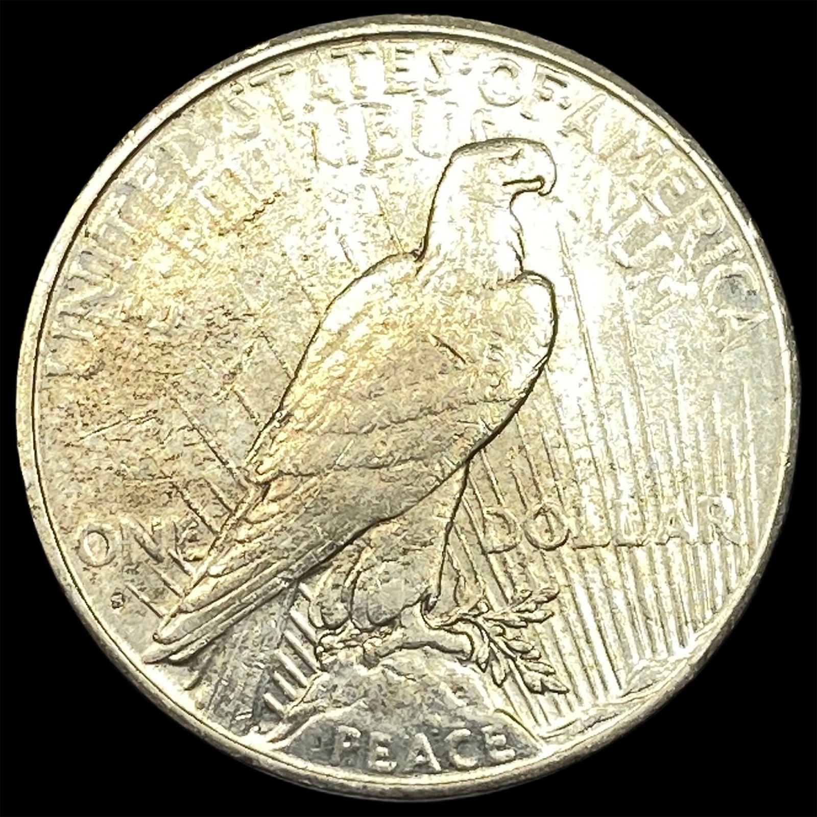 1925 Silver Peace Dollar CLOSELY UNCIRCULATED - 2