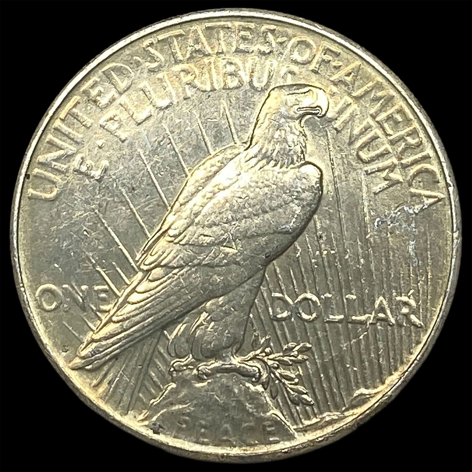 1924 Peace Silver Dollar CLOSELY UNCIRCULATED - 2