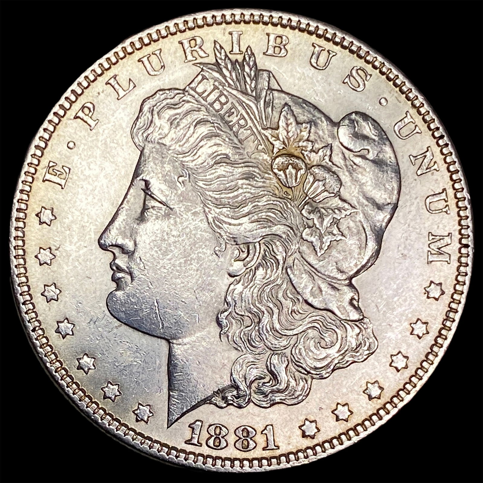 1881 Morgan Silver Dollar CHOICE BU (1 of 2)