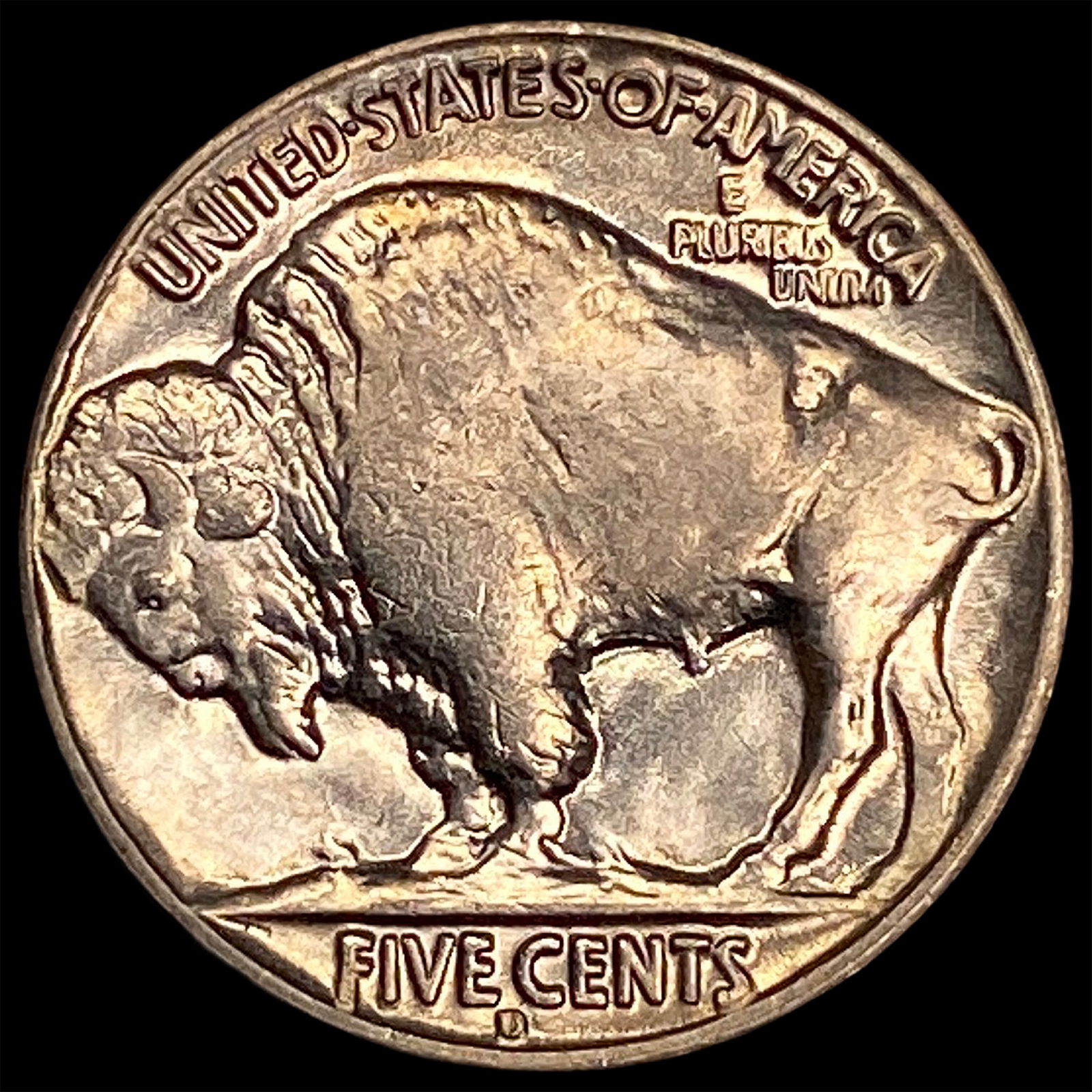 1934-D Nickel Buffalo Five Cents CHOICE BU - 2