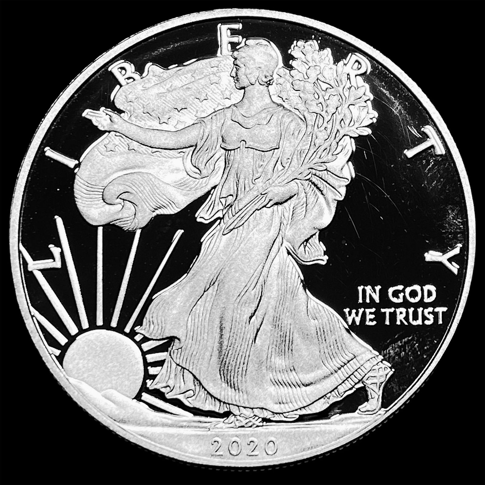 2020-W Silver American Eagle Proof $1 CHOICE PROOF (1 of 2)
