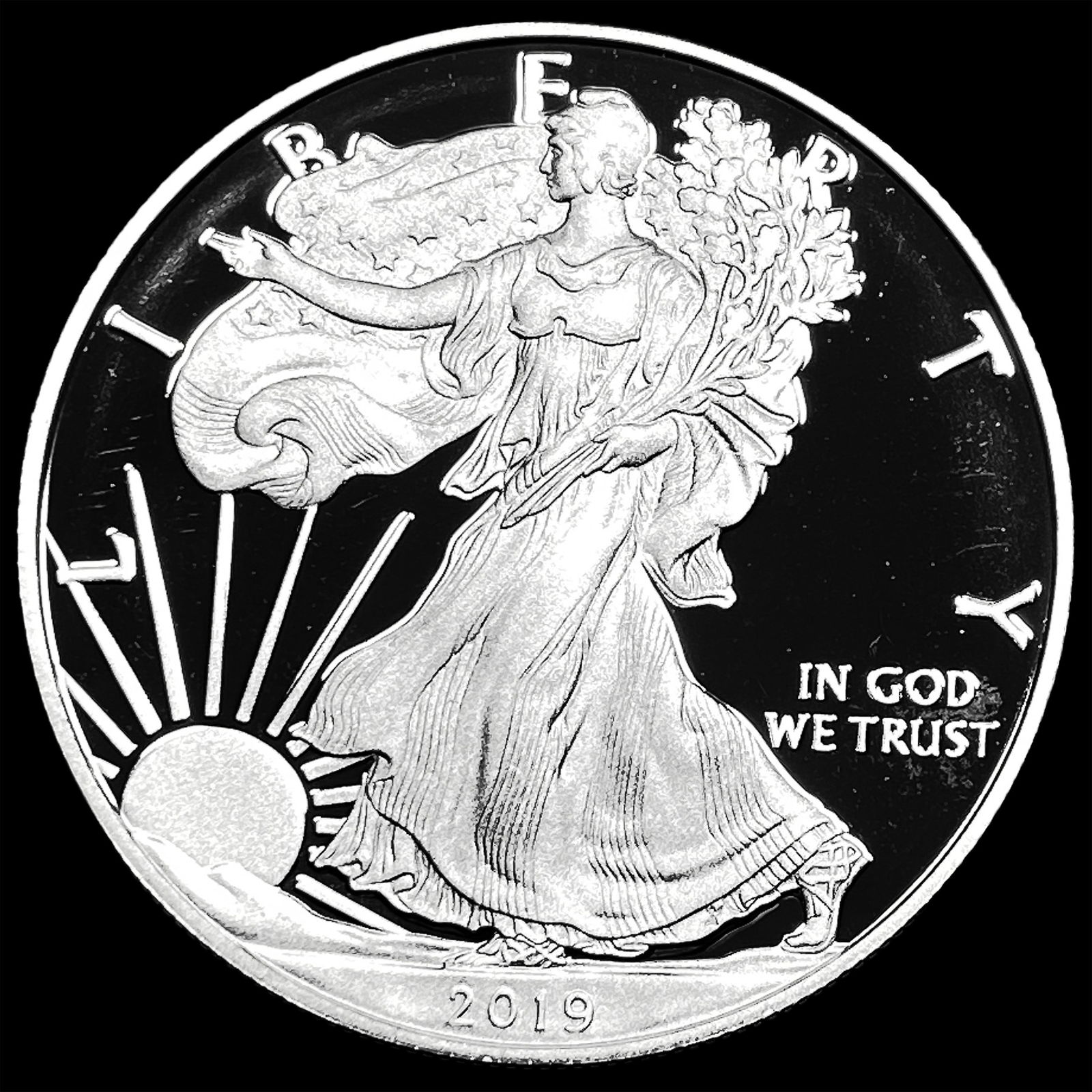 2019-W Silver American Eagle Proof $1 CHOICE PROOF (1 of 2)