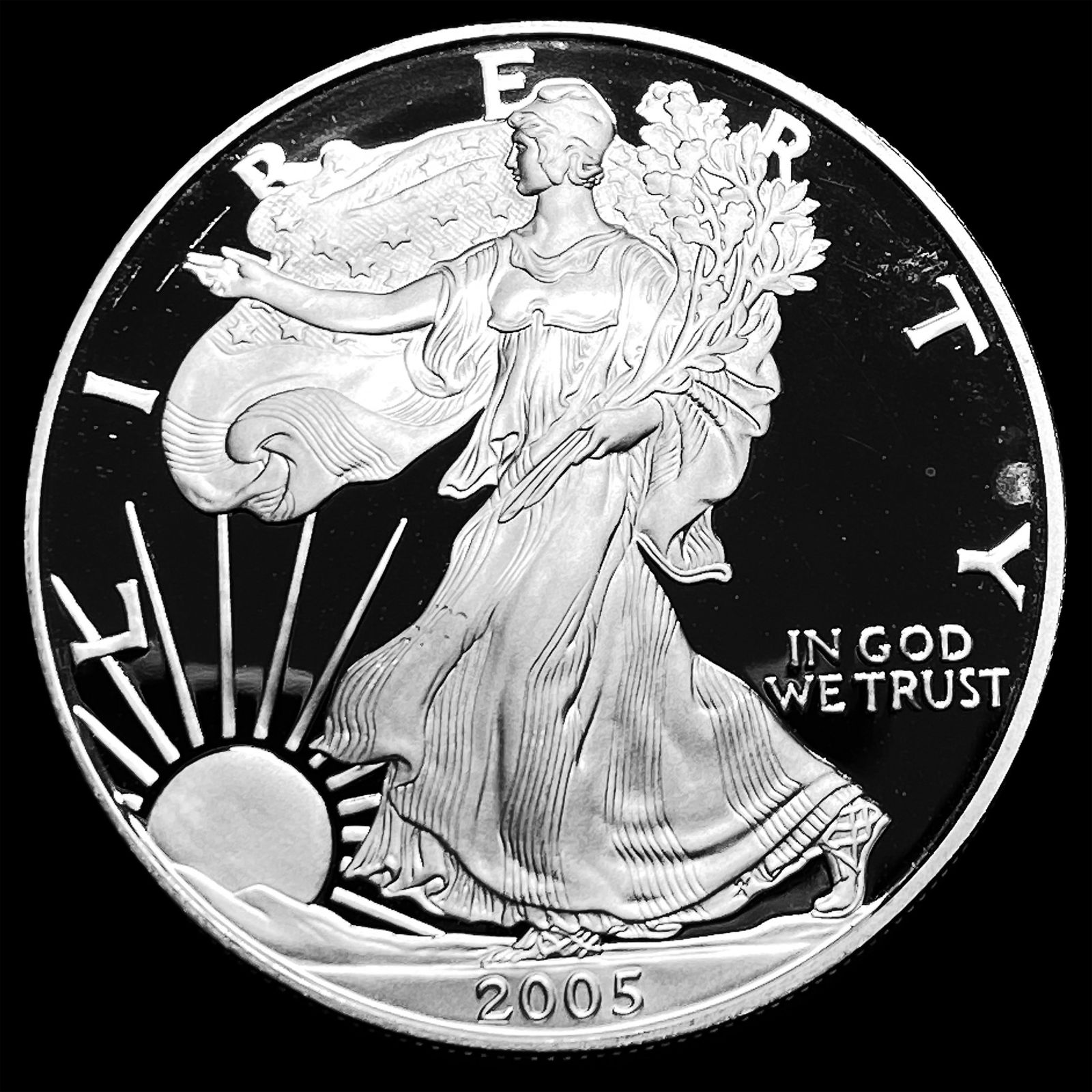 2005-W Silver American Eagle Proof CHOICE PROOF (1 of 2)