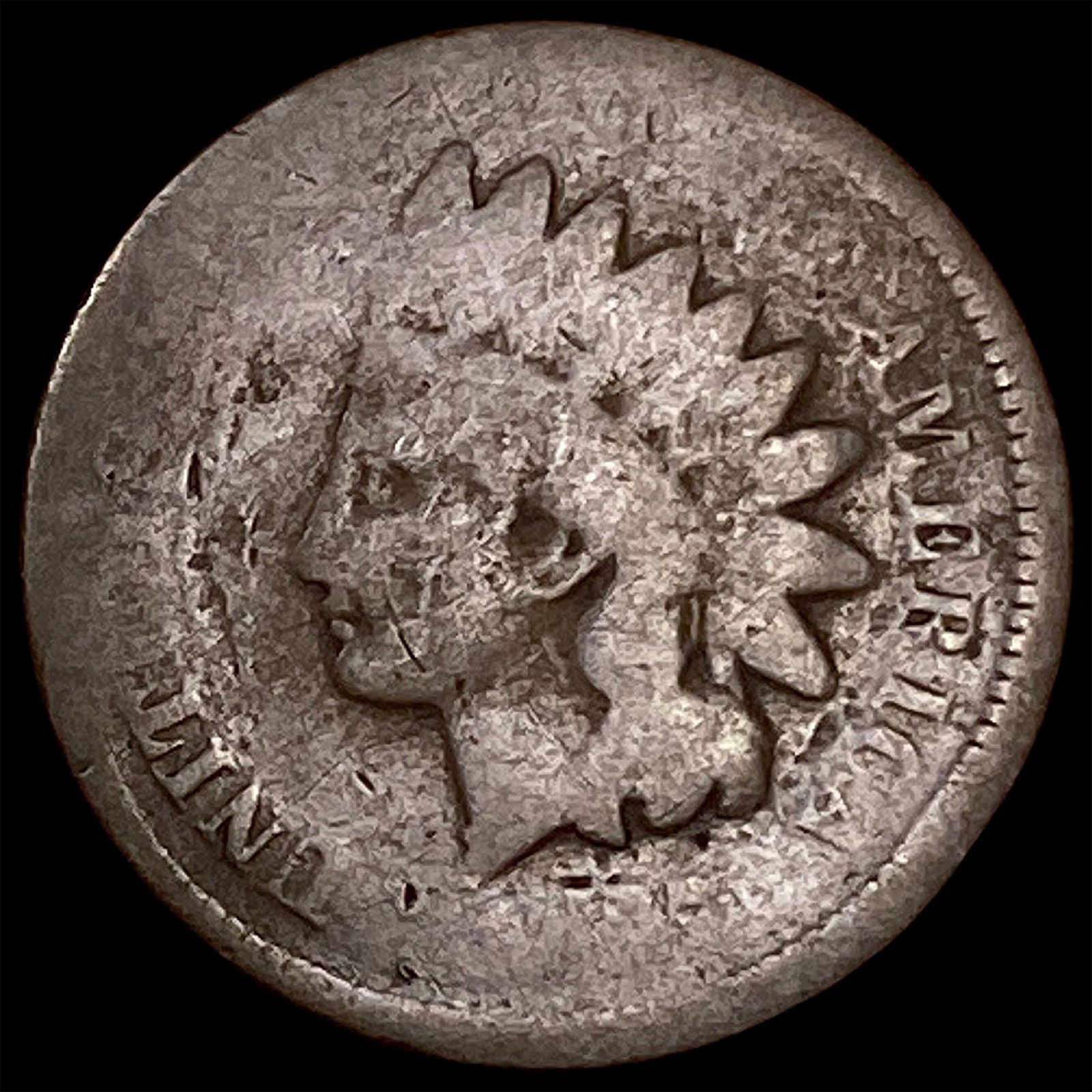 Indian Head cent NICELY CIRCULATED: Indian Head cent NICELY CIRCULATED