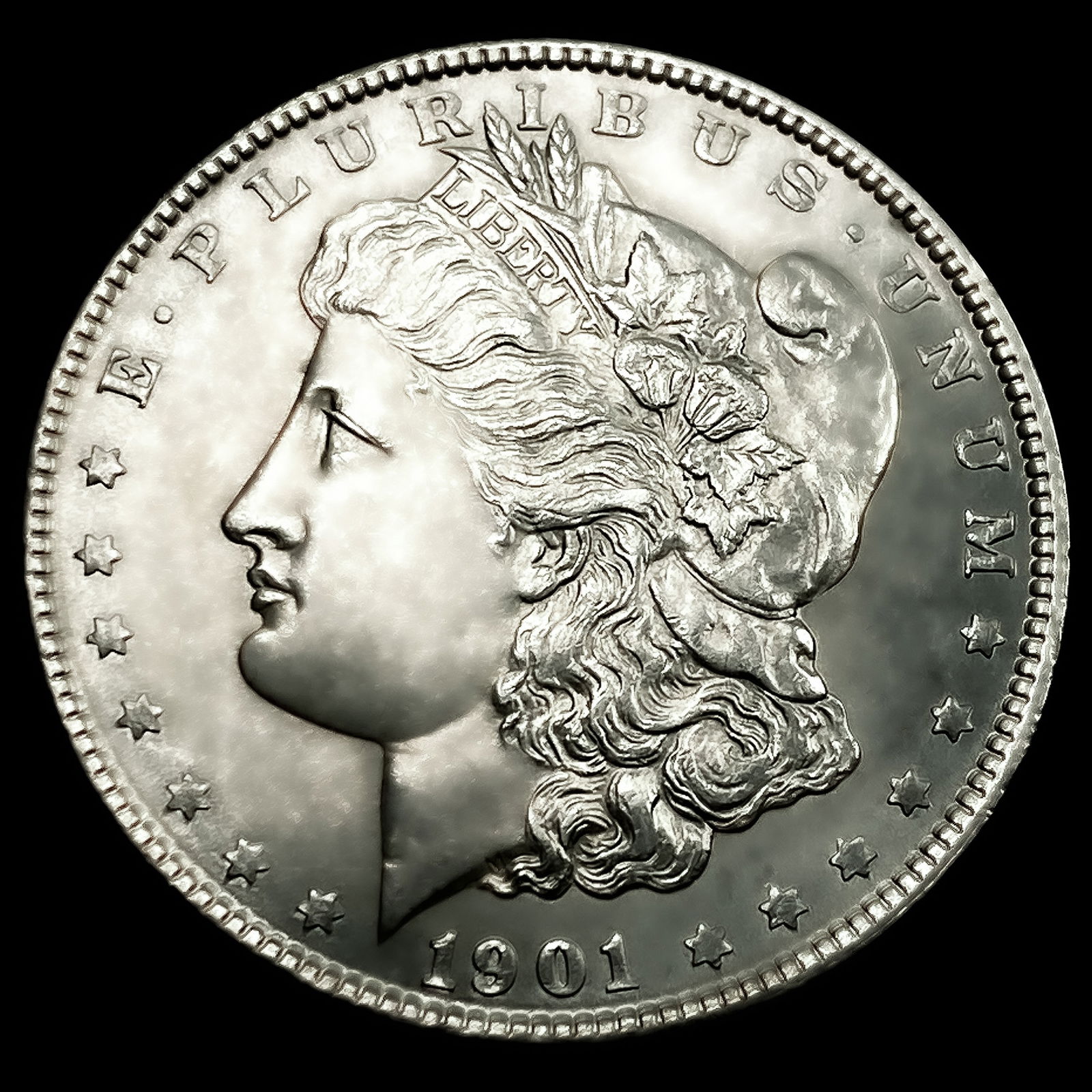1901 Morgan Silver Dollar (1 of 2)