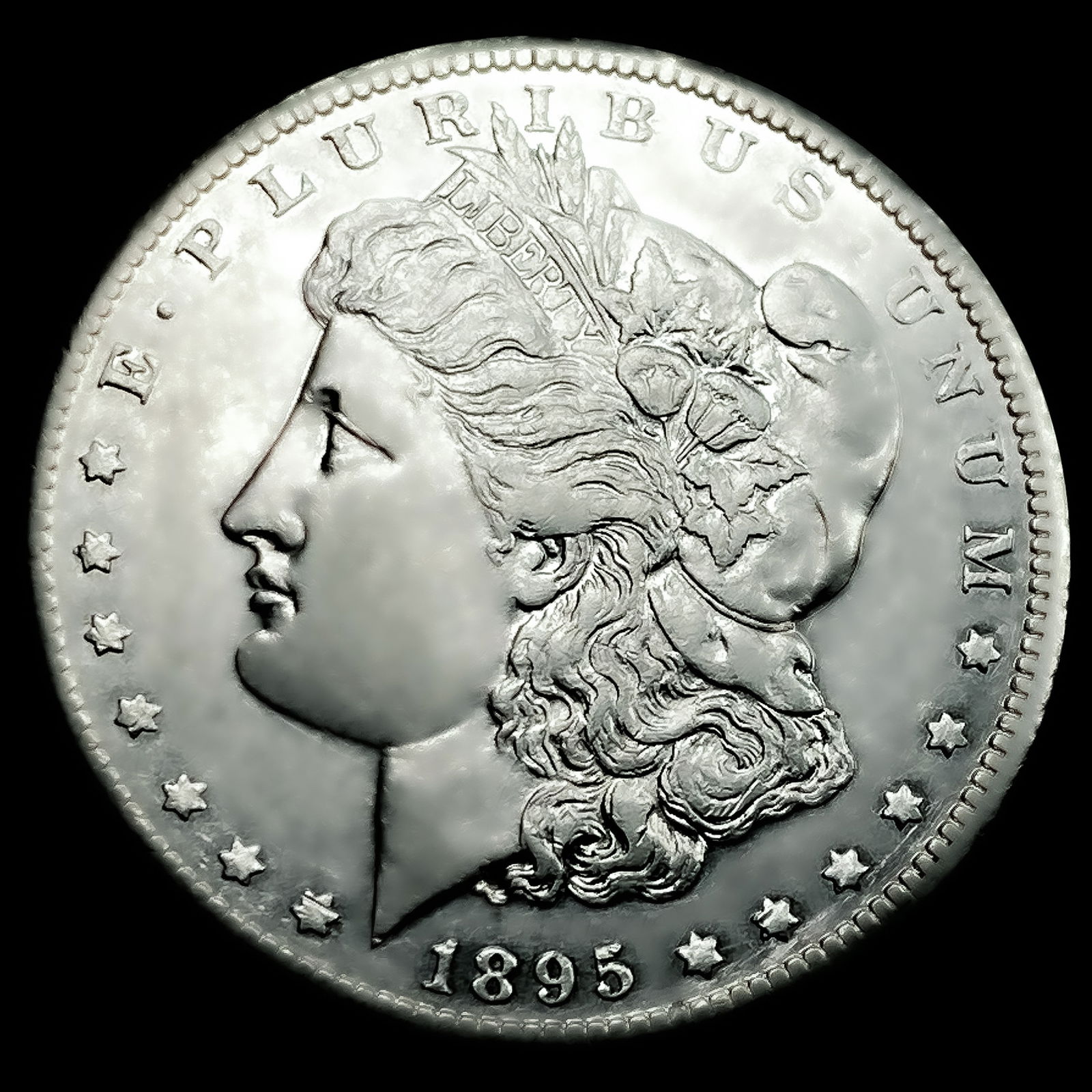 1895-O Morgan Silver Dollar (1 of 2)