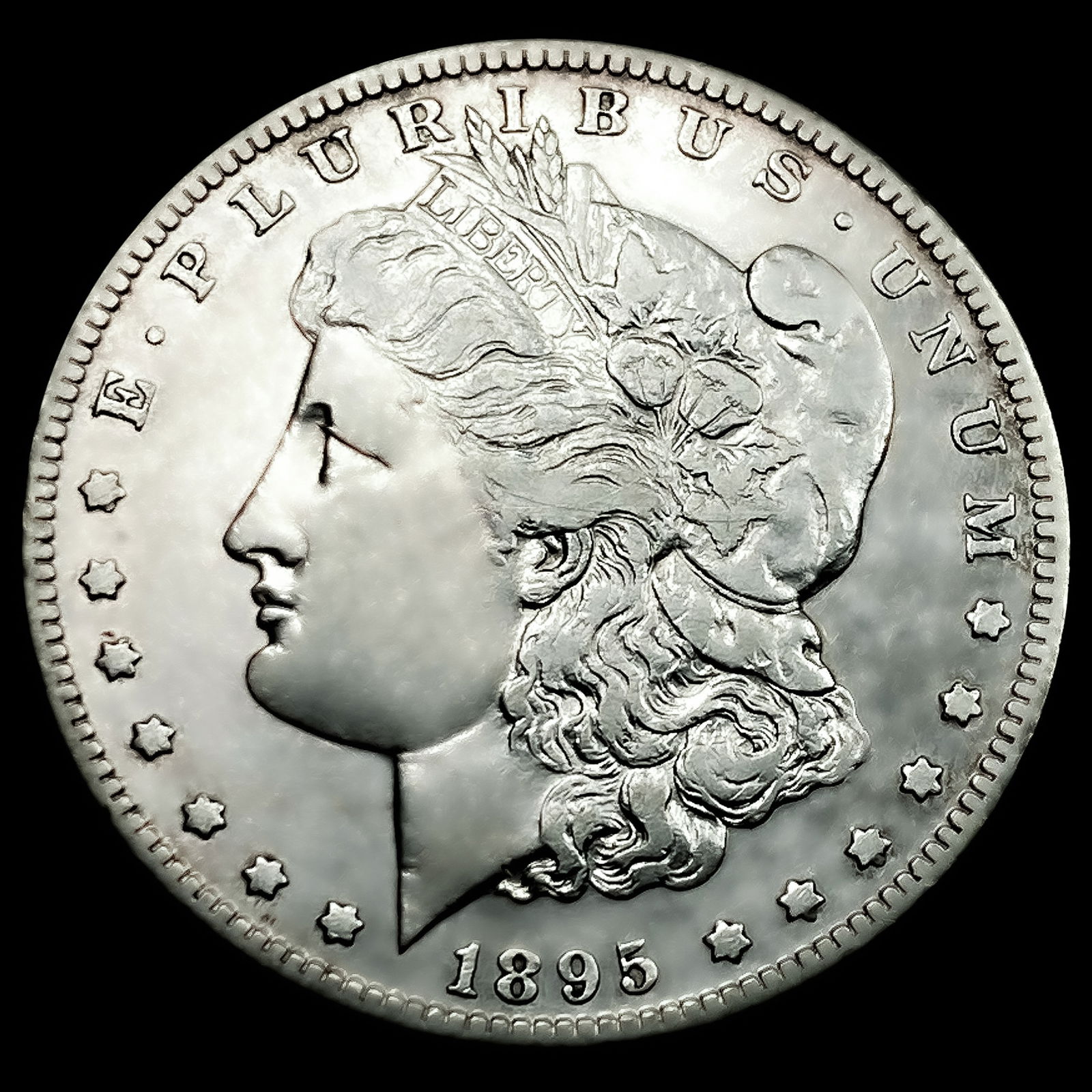 1895-S Morgan Silver Dollar (1 of 2)
