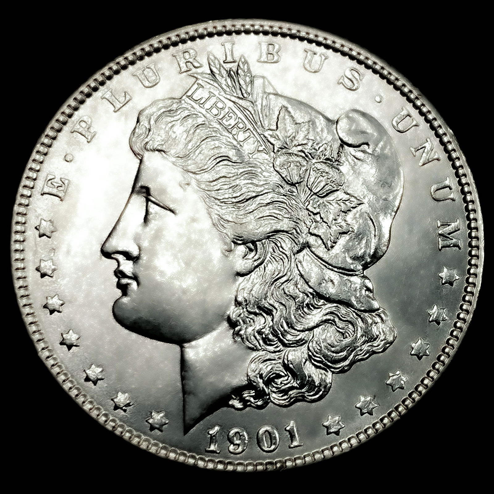 1901 Morgan Silver Dollar (1 of 2)