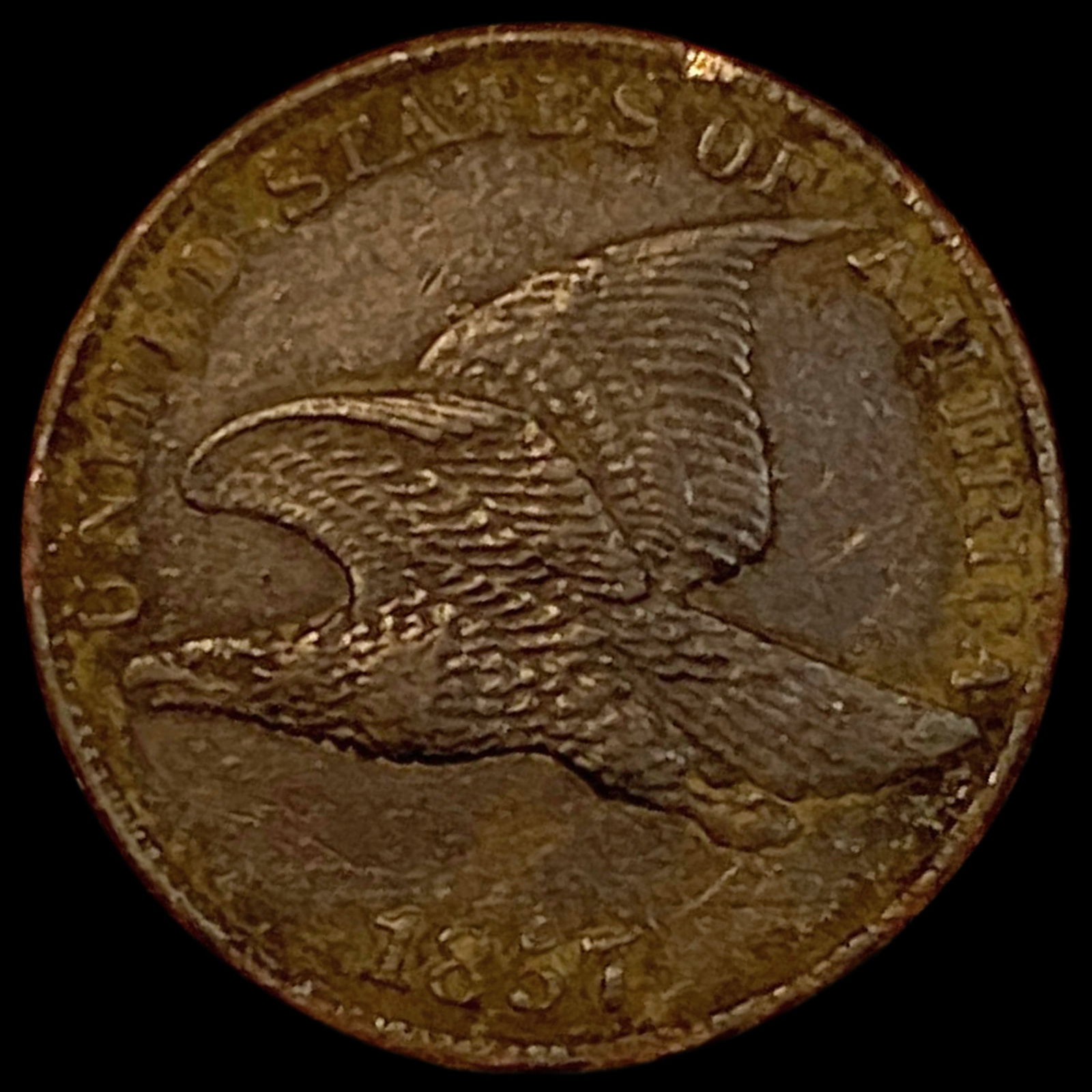 1857 Flying Eagle Cent NEARLY UNCIRCULATED: 1857 Flying Eagle Cent NEARLY UNCIRCULATED