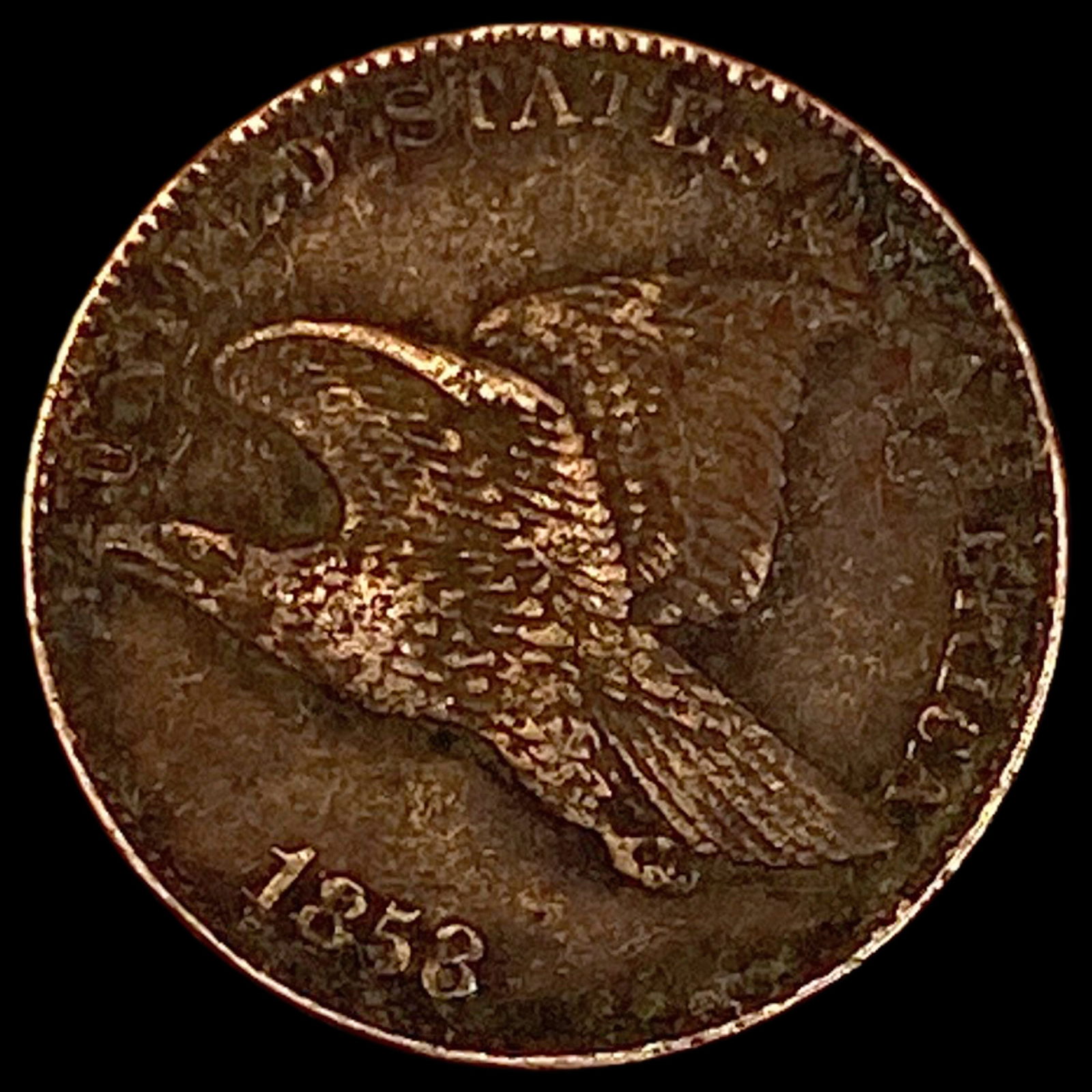 1858 Flying Eagle Cent LIGHTLY CIRCULATED: 1858 Flying Eagle Cent LIGHTLY CIRCULATED