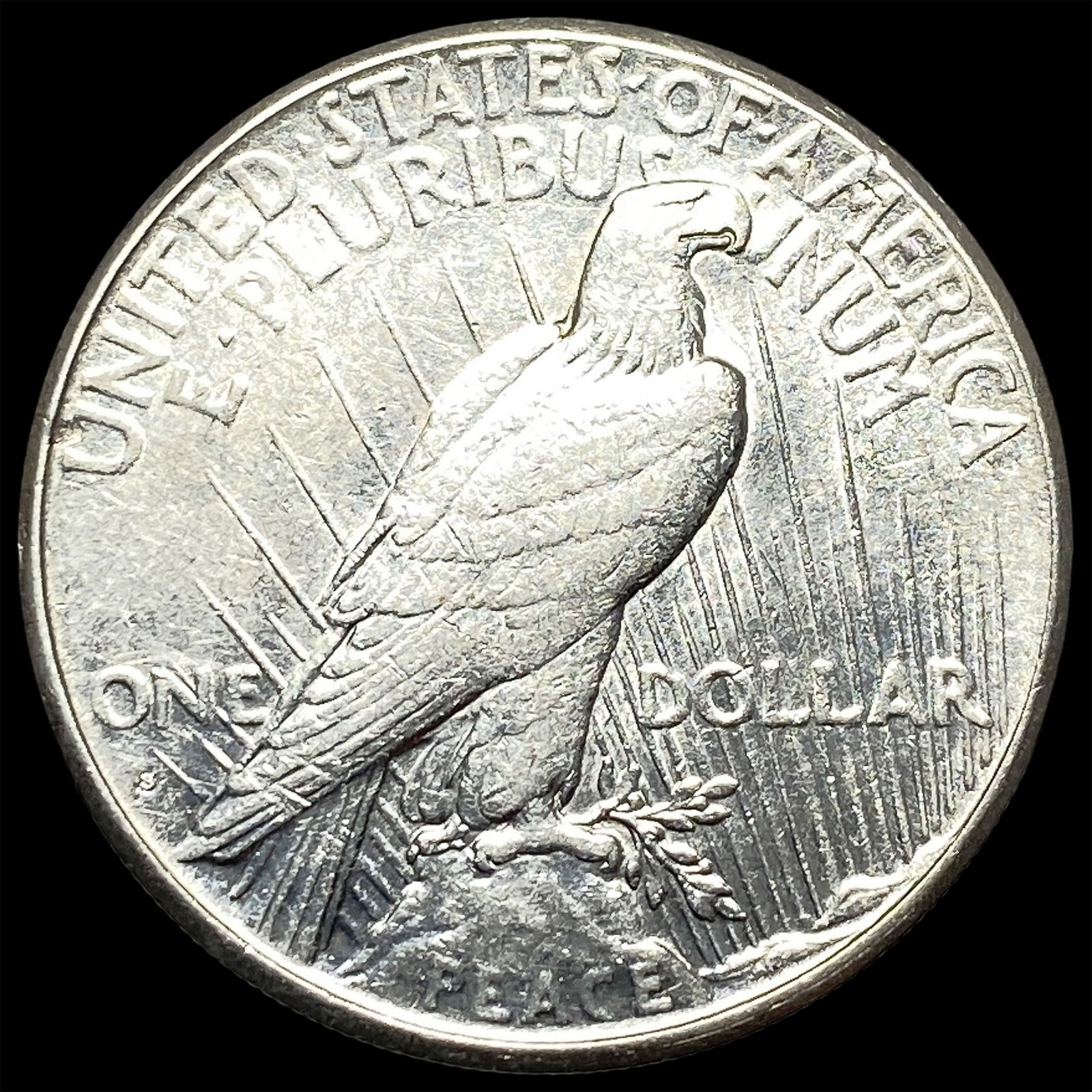 1925 Silver Peace Dollar CLOSELY UNCIRCULATED - 2