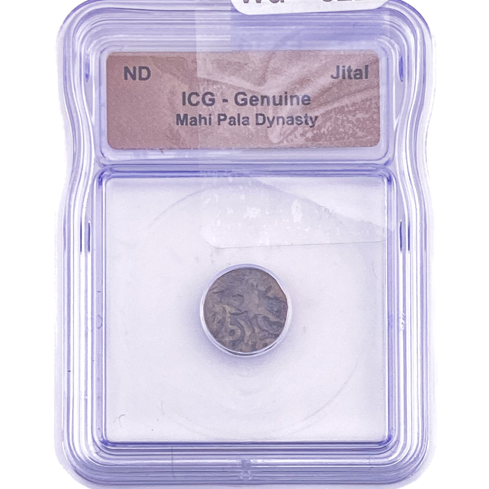 Mahi Pala Dynasty Jital ICG Genuine: Mahi Pala Dynasty Jital ICG Genuine