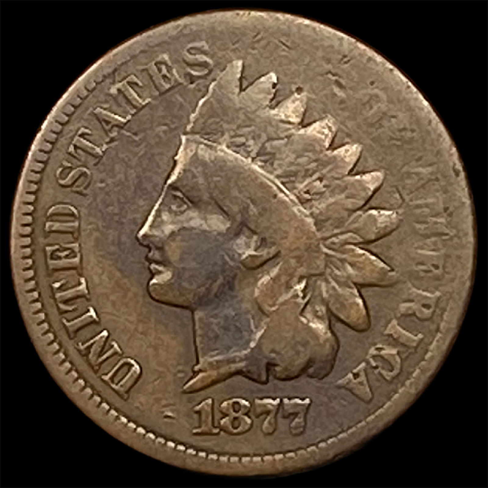 1877 Indian Head Cent NICELY CIRCULATED: 1877 Indian Head Cent NICELY CIRCULATED