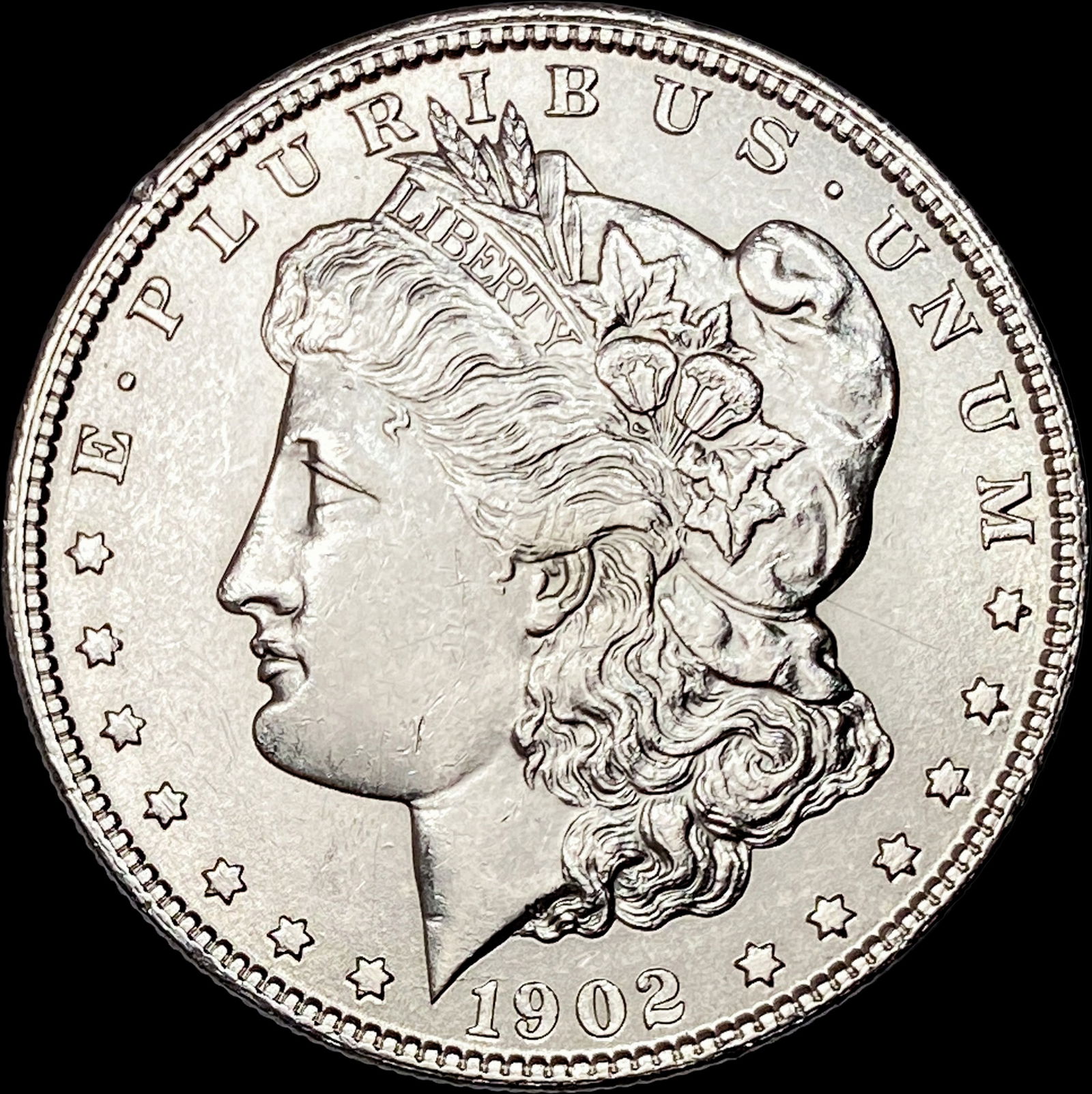 1902 Morgan Silver Dollar NEARLY UNCIRCULATED (1 of 2)
