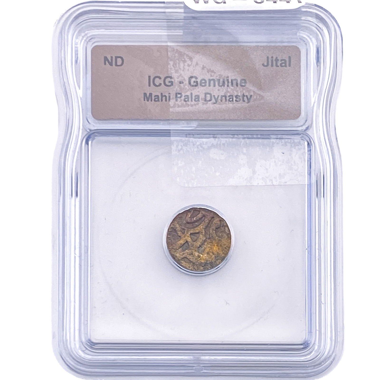 Mahi Pala Dynasty Jital ICG Genuine: Mahi Pala Dynasty Jital ICG Genuine