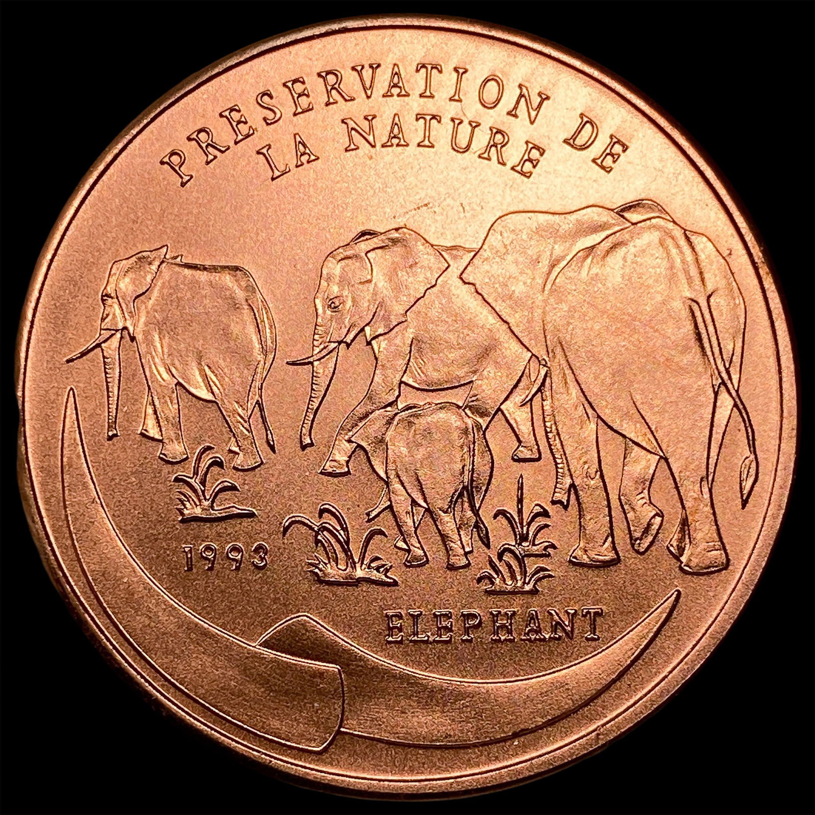 1993 Congo Republic 100 Francs UNCIRCULATED: 1993 Congo Republic 100 Francs UNCIRCULATED